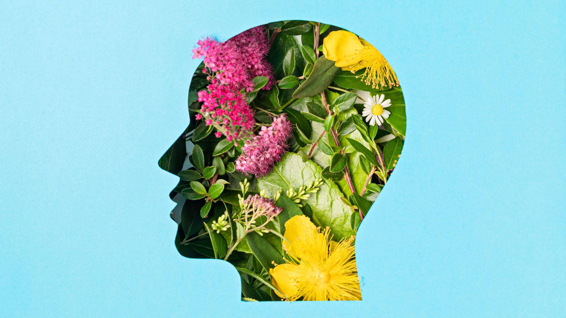 mind 桌布 壁紙 — 一個人類頭部剪影，充滿鮮豔的粉紅色和黃色花朵以及綠色葉子，背景為純藍色。