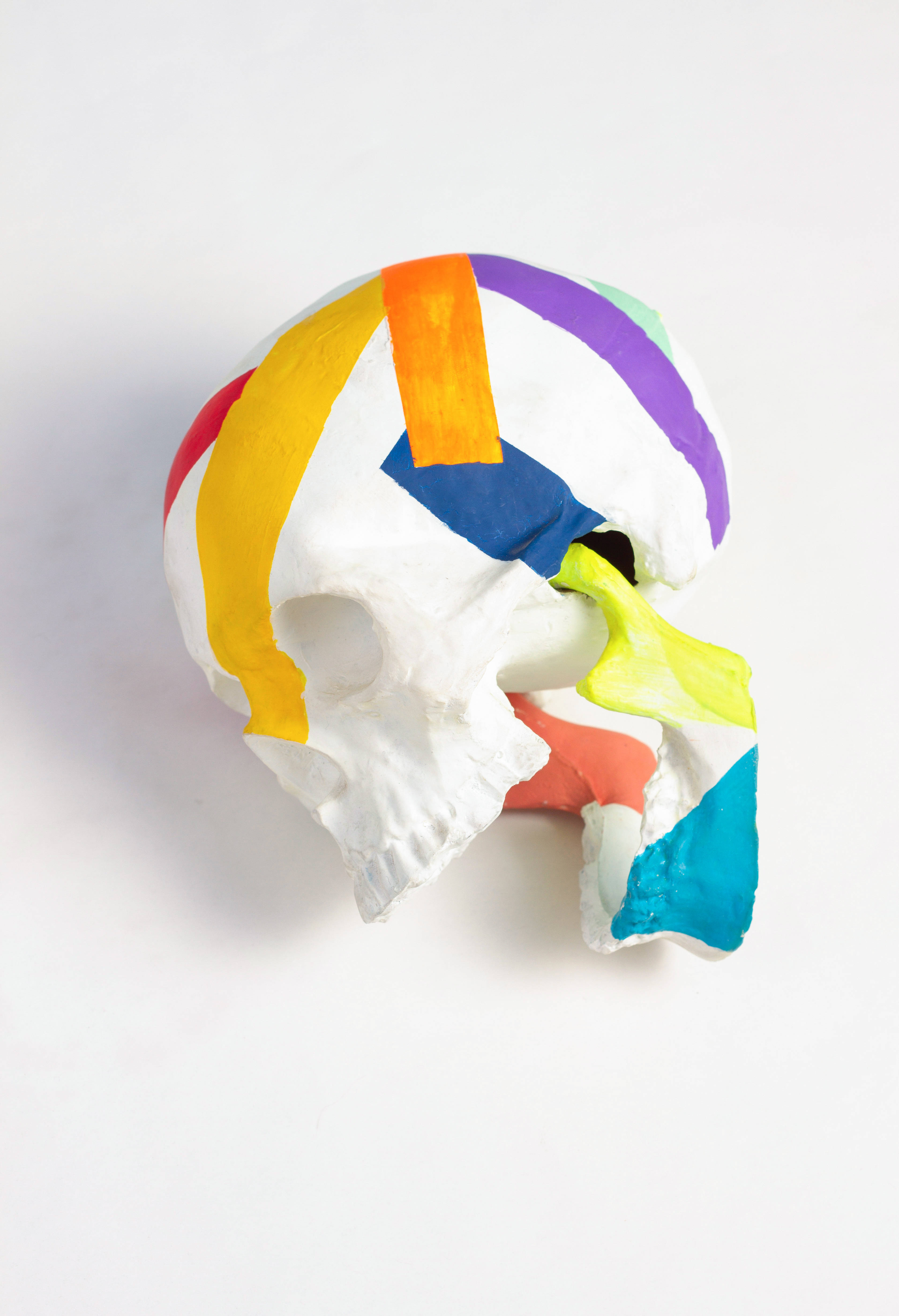 skulls 桌布 壁紙 — 一個人類頭骨模型，在純白色背景上塗有鮮豔的彩虹條紋。