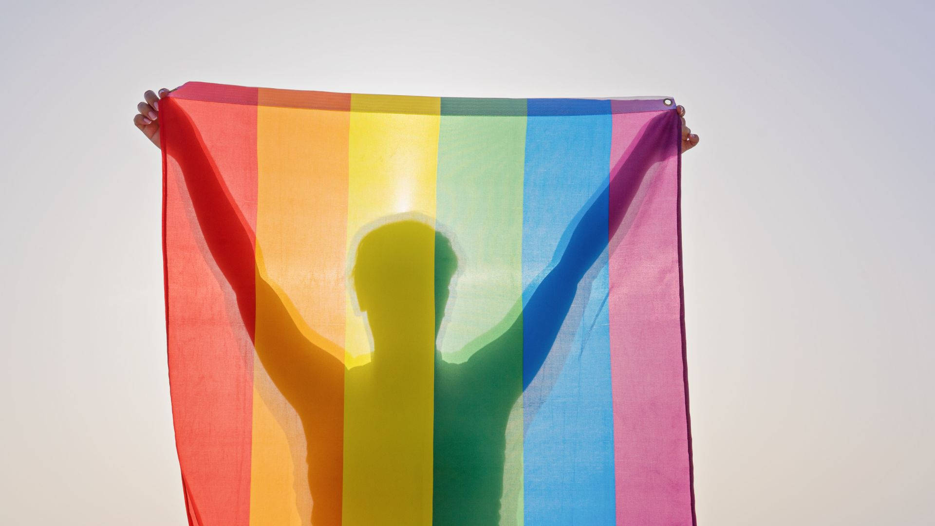 Subtle Lgbt 桌布 壁紙 — 一個人高舉彩虹旗，映襯著明亮的天空，投射出色彩繽紛的剪影。