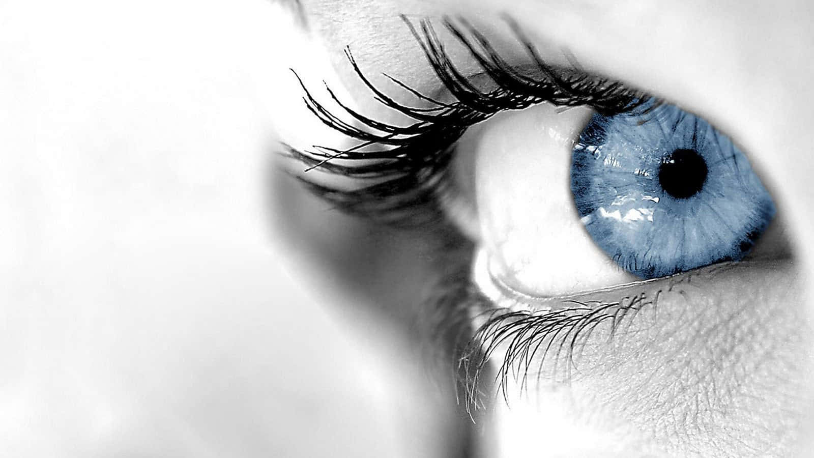 Eyes 桌布 壁紙 — 一個令人印象深刻的人類眼睛特寫，擁有鮮豔的藍色虹膜和黑色睫毛，背景為單色。