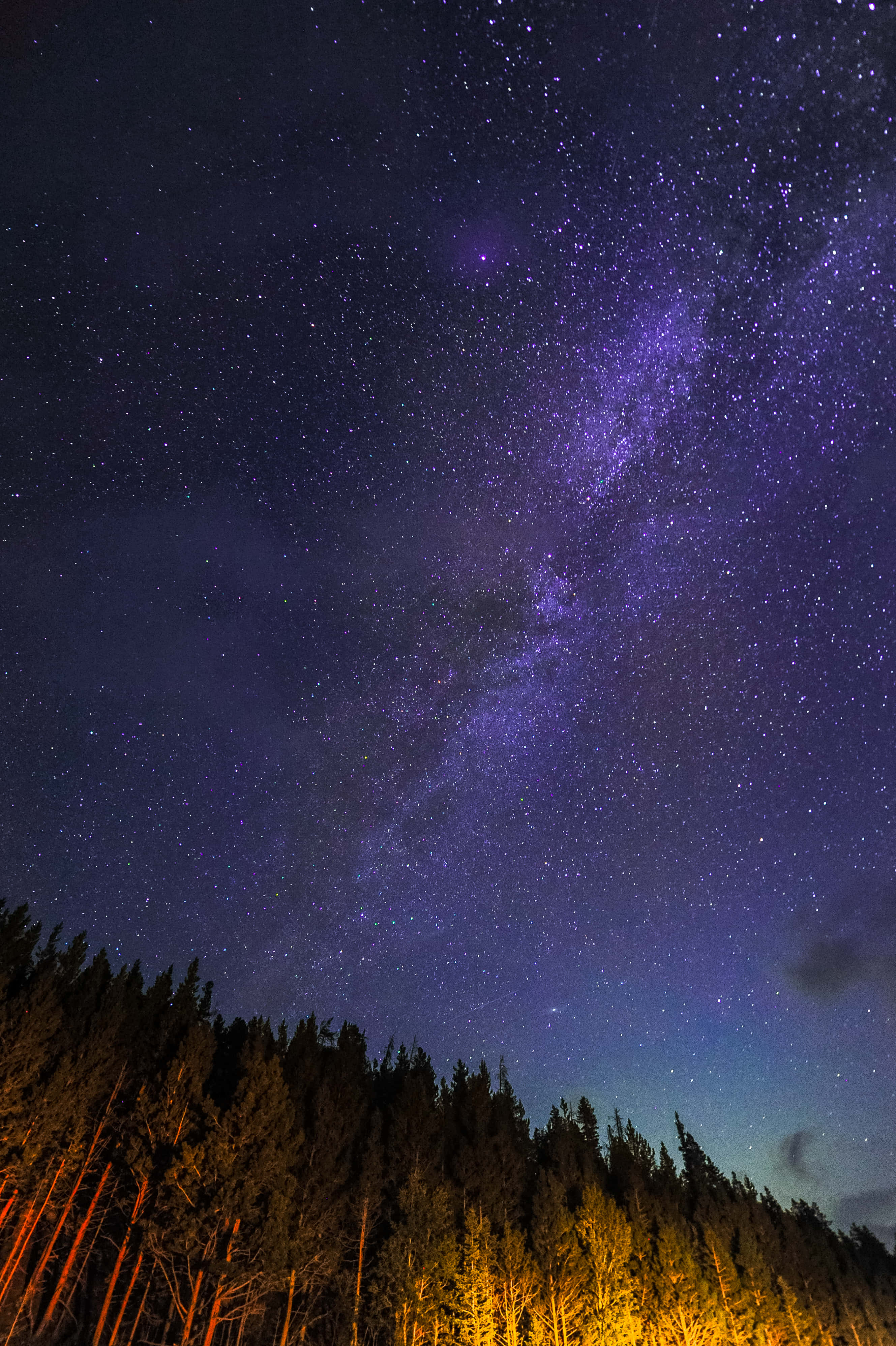 桌布 壁紙 — 一個令人嘆為觀止的夜空，佈滿星星，一條充滿活力的紫色銀河在黑暗的森林剪影上方拱起，底部有溫暖發光的樹木。