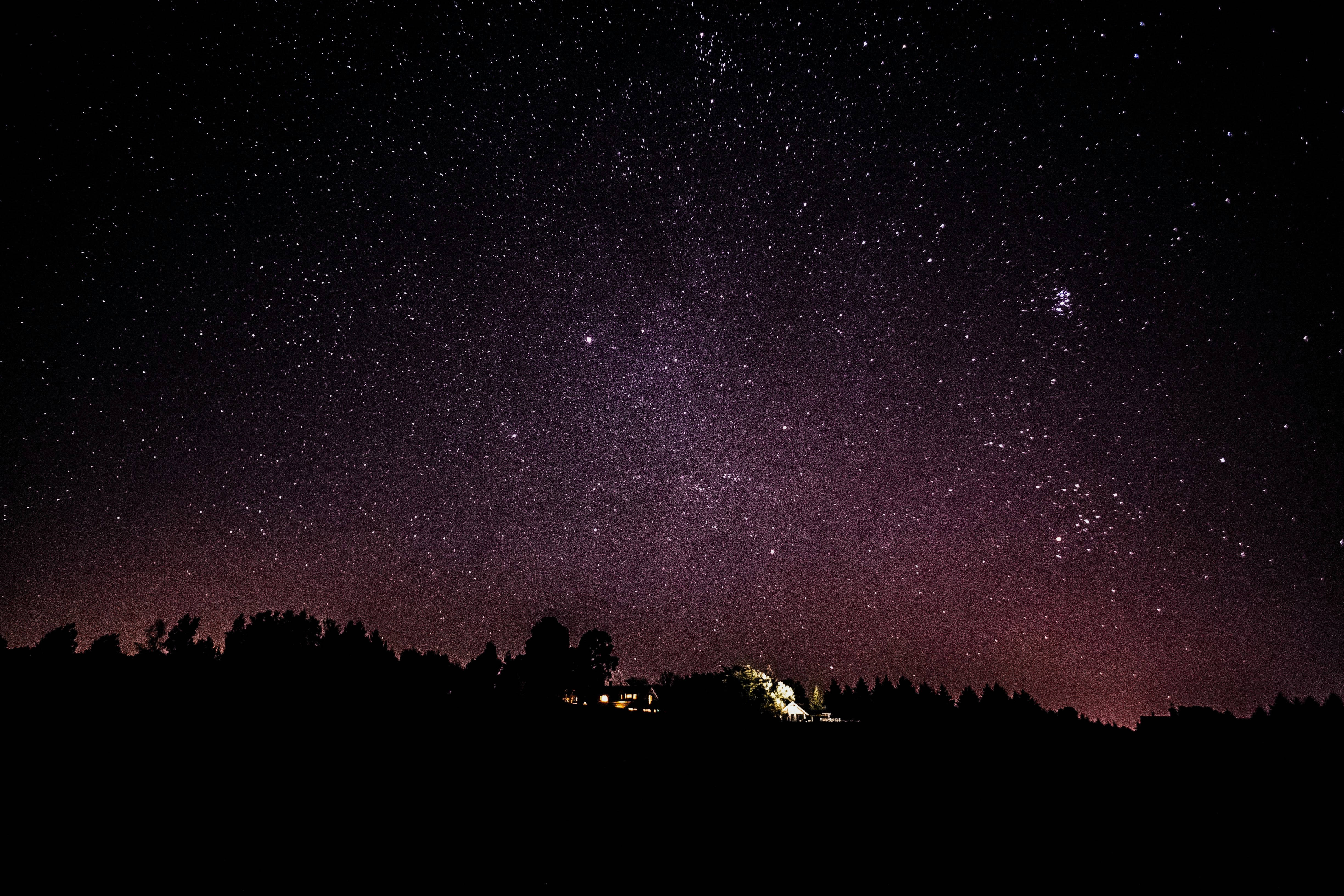 Starry 桌布 壁紙 — 一個令人嘆為觀止的夜空，充滿無數星星和發光的紫色銀河，拱形在黑暗的森林剪影和下方亮燈的房子之上。