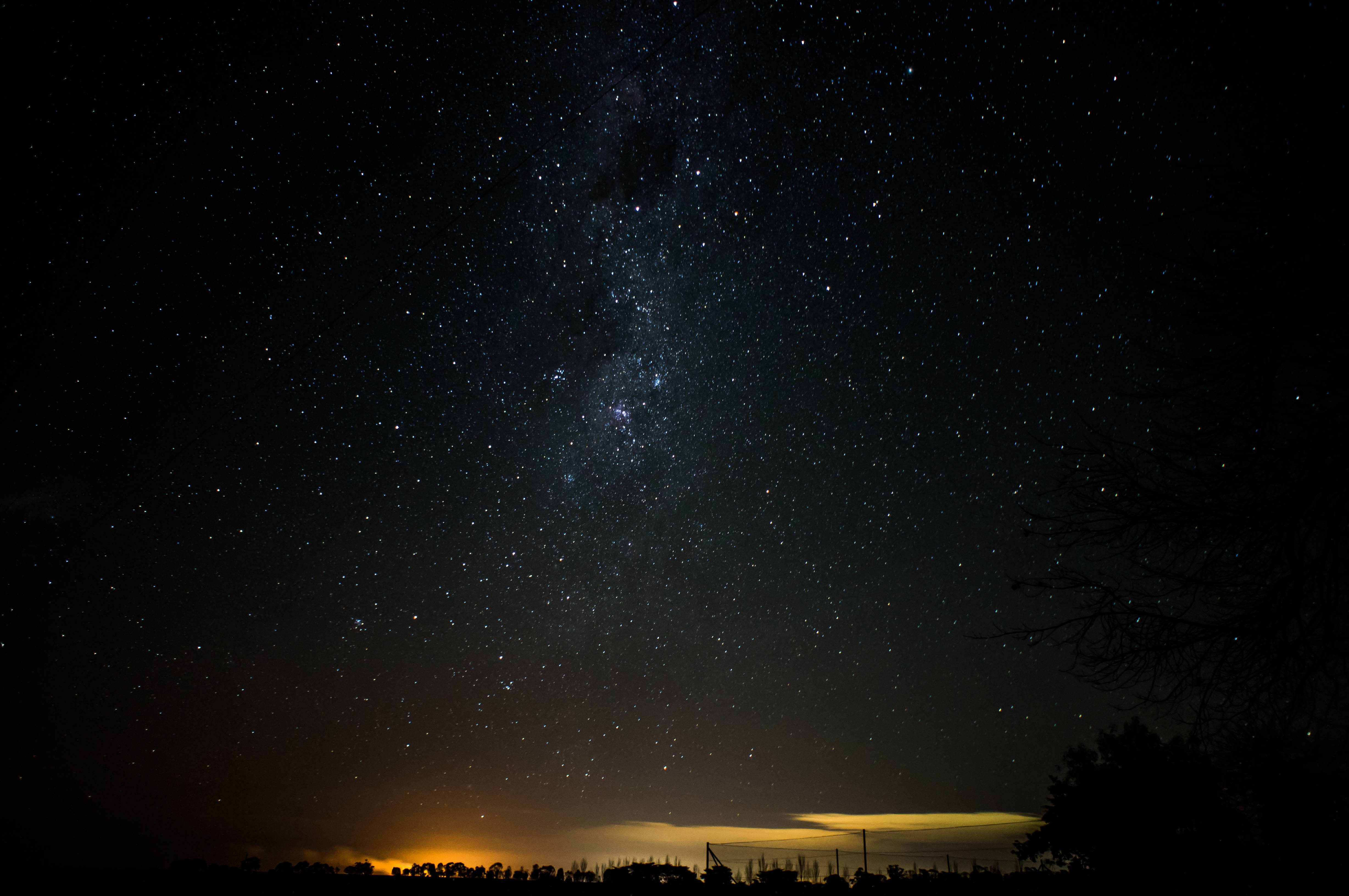 Starry 桌布 壁紙 — 一個令人嘆為觀止的夜空，充滿無數星星和銀河，拱形在樹木的黑暗剪影和遙遠的地平線光芒之上。