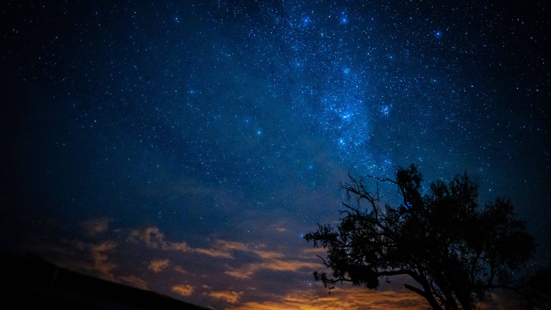 Relaxing Desktop 桌布 壁紙 — 一個令人嘆為觀止的夜空，充滿無數星星和銀河，在發光的橙色雲層上拱起一棵剪影樹。
