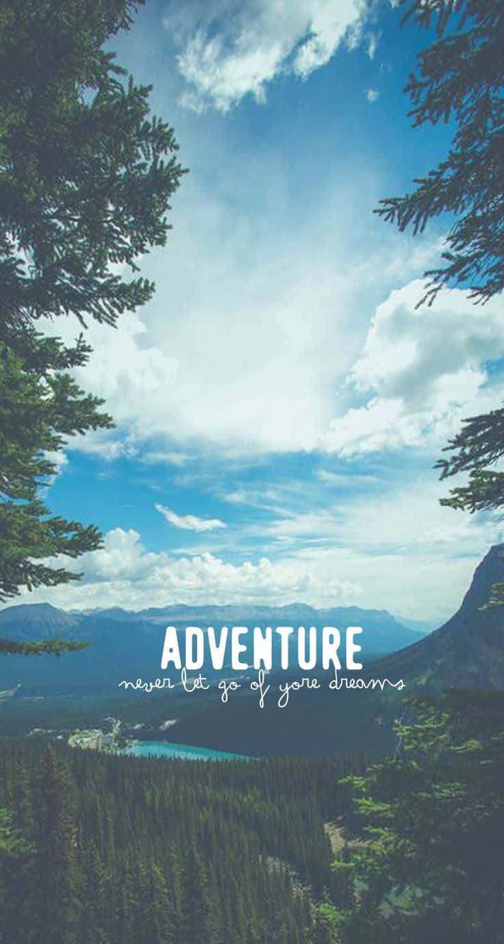 adventure 桌布 壁紙 — 一個令人嘆為觀止的山谷，被松樹環繞，在明亮的藍天下有蓬鬆的白雲。