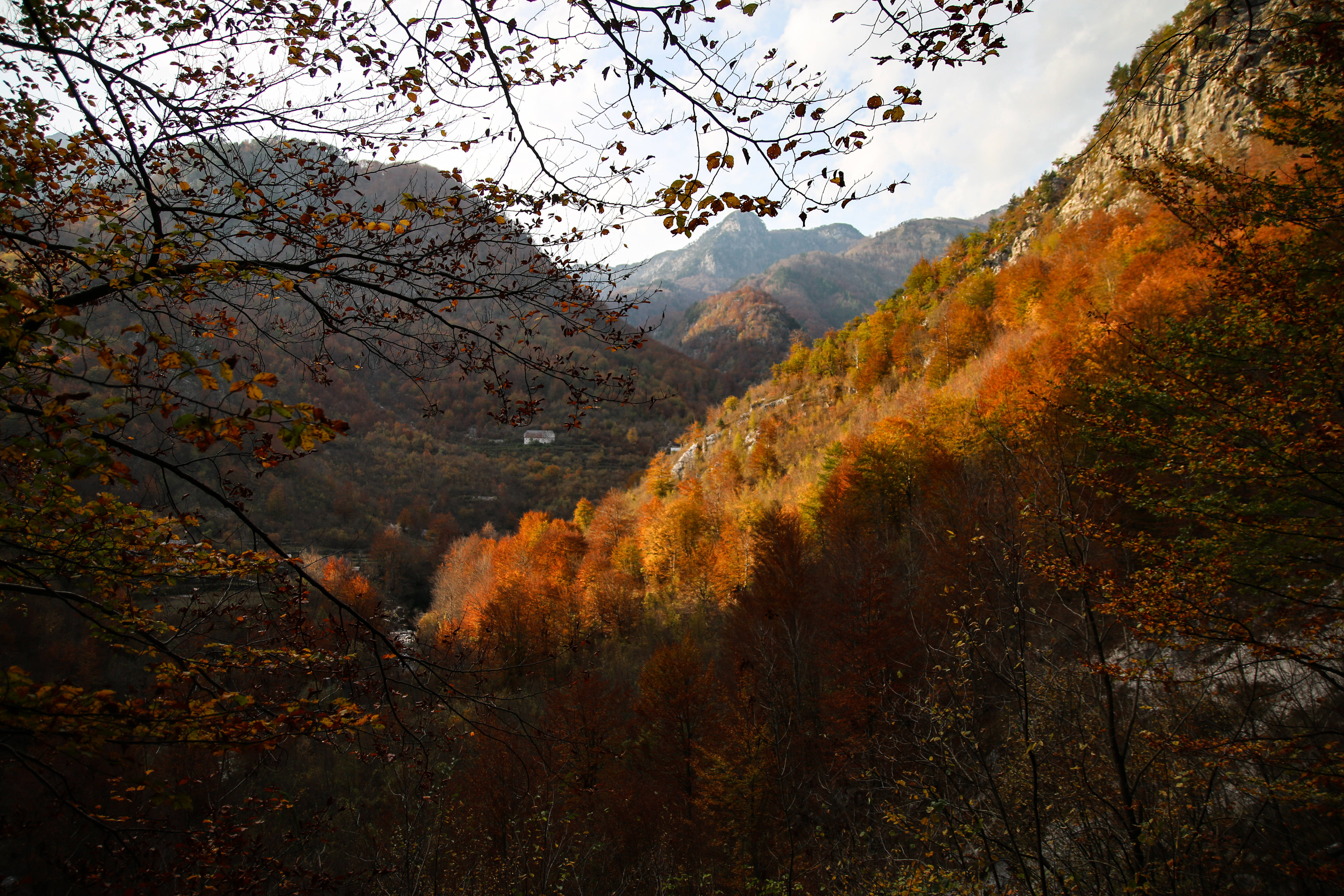 Albania 桌布 壁紙 — 一個令人嘆為觀止的秋日山谷，由光禿的樹枝框住，火紅的橙色和金色樹葉覆蓋著山腰，天空柔和。