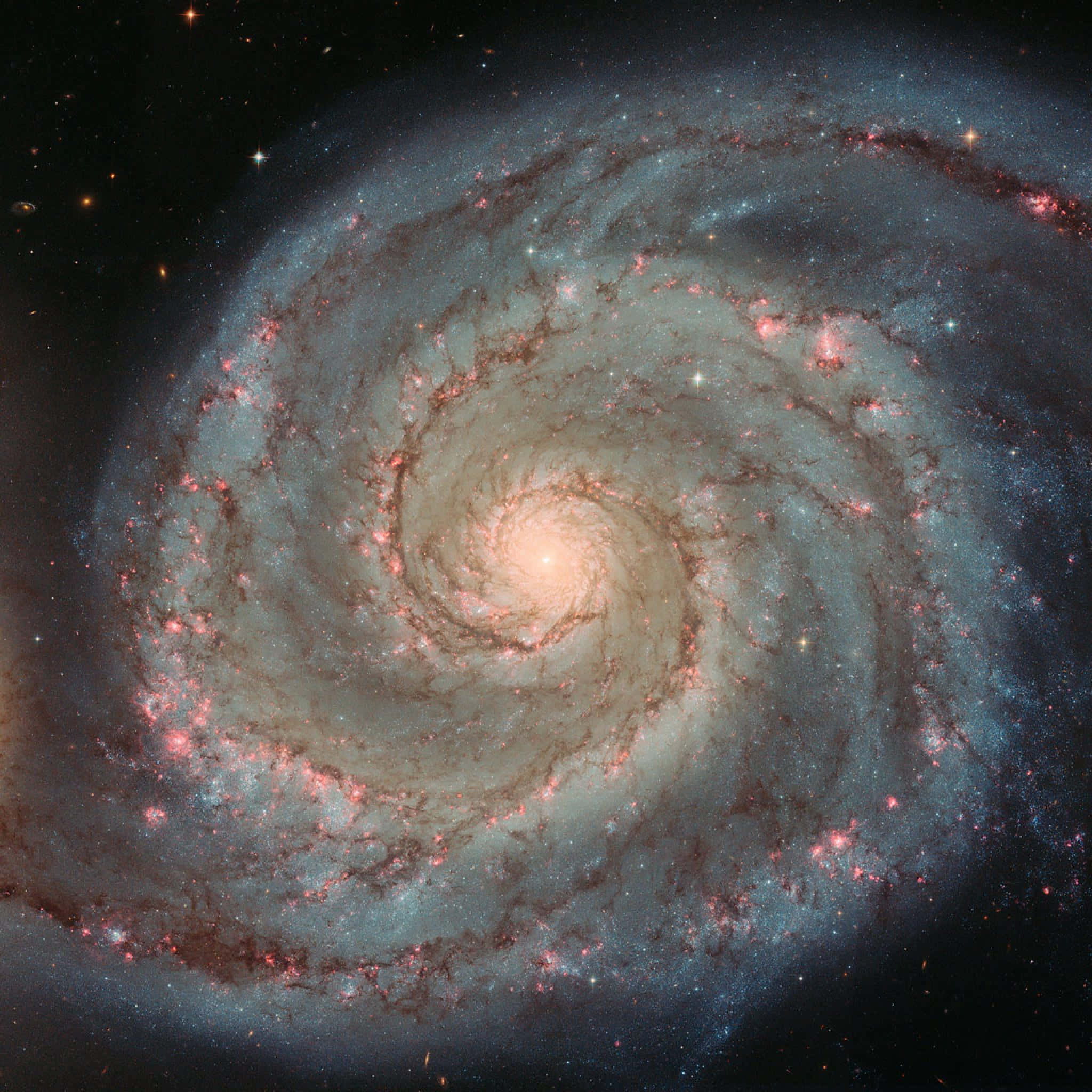 Whirlpool Galaxy 桌布 壁紙 — 一個令人嘆為觀止的螺旋星系，在繁星點點的黑色虛空中旋轉，伴隨著發光的粉紅色星團和旋轉的藍色塵埃帶。