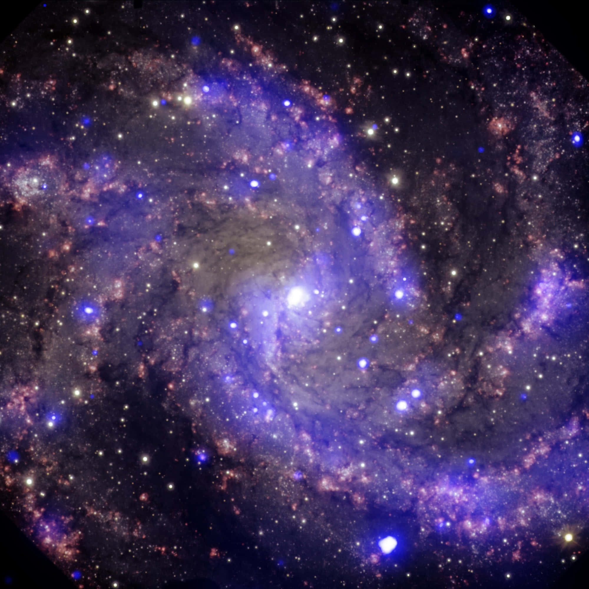 Nasa Galaxy 桌布 壁紙 — 一個令人嘆為觀止的螺旋星系，在繁星點點的宇宙背景下旋轉著充滿活力的紫色和粉紅色星雲。