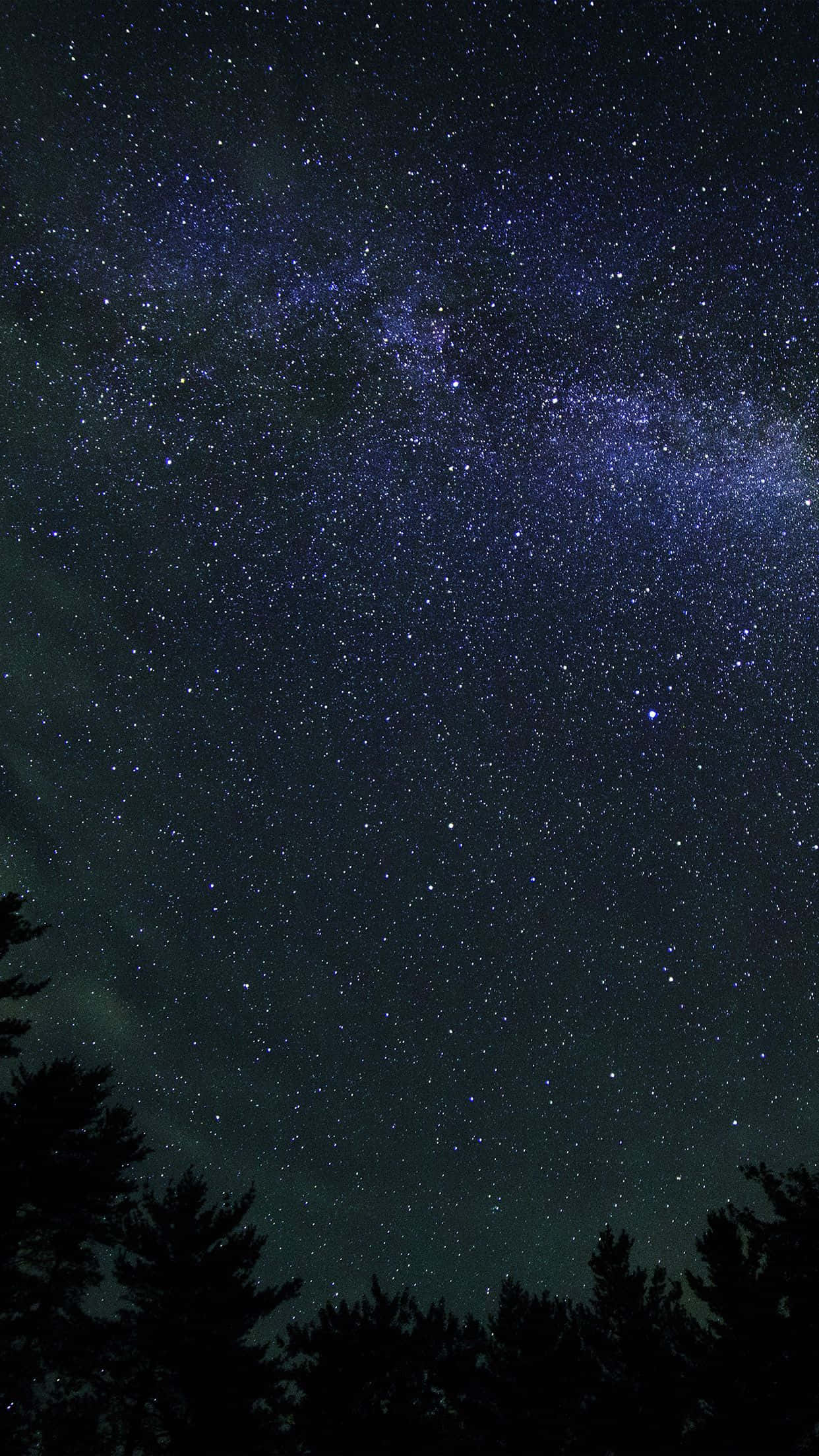 桌布 壁紙 — 一個令人屏息的夜空，充滿無數星星，發光的銀河在松樹的剪影上方拱起。