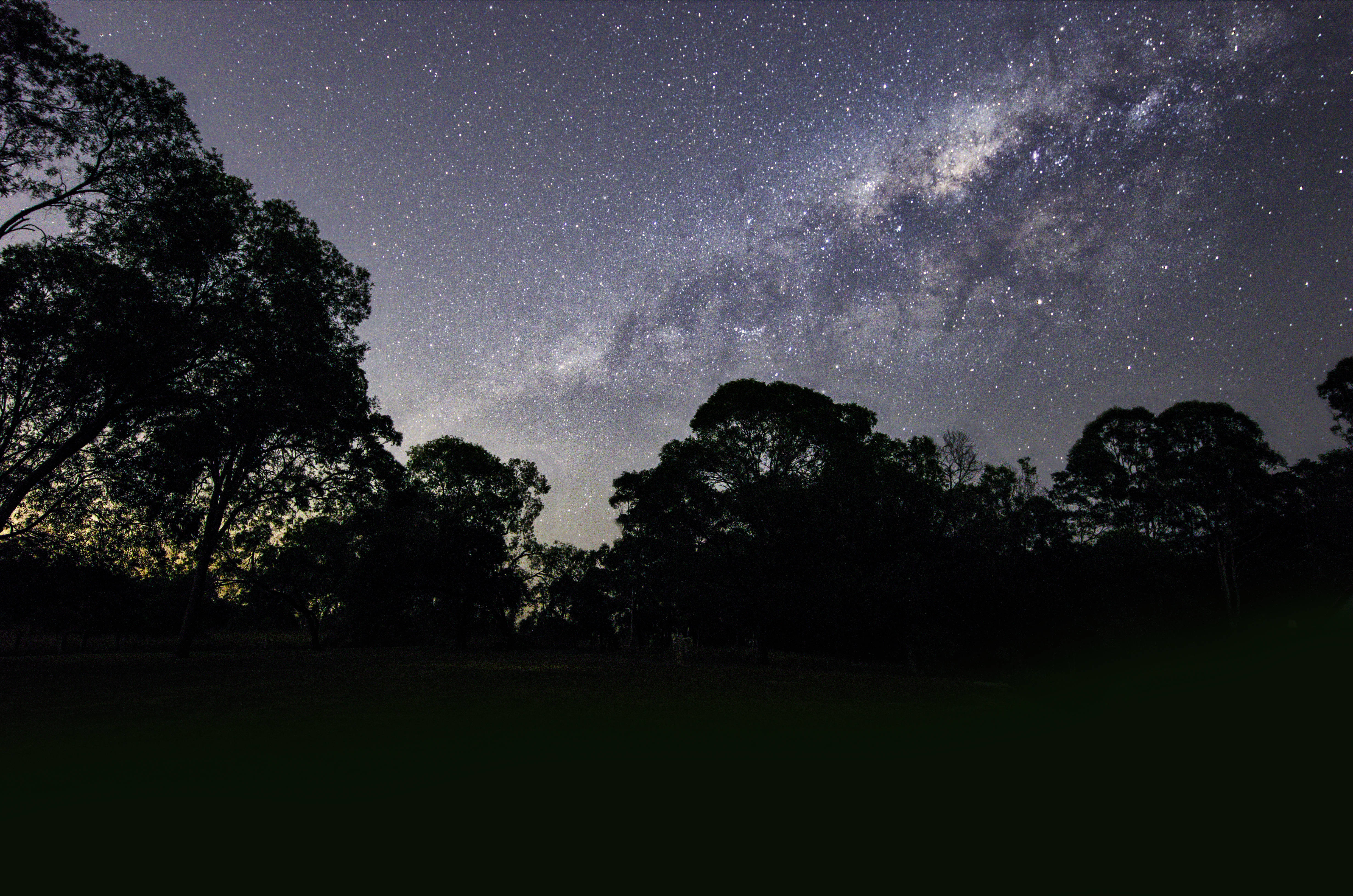 宇宙美學 桌布 壁紙 — 一個令人屏息的夜空，充滿無數星星，銀河在茂密樹木的剪影上拱起。