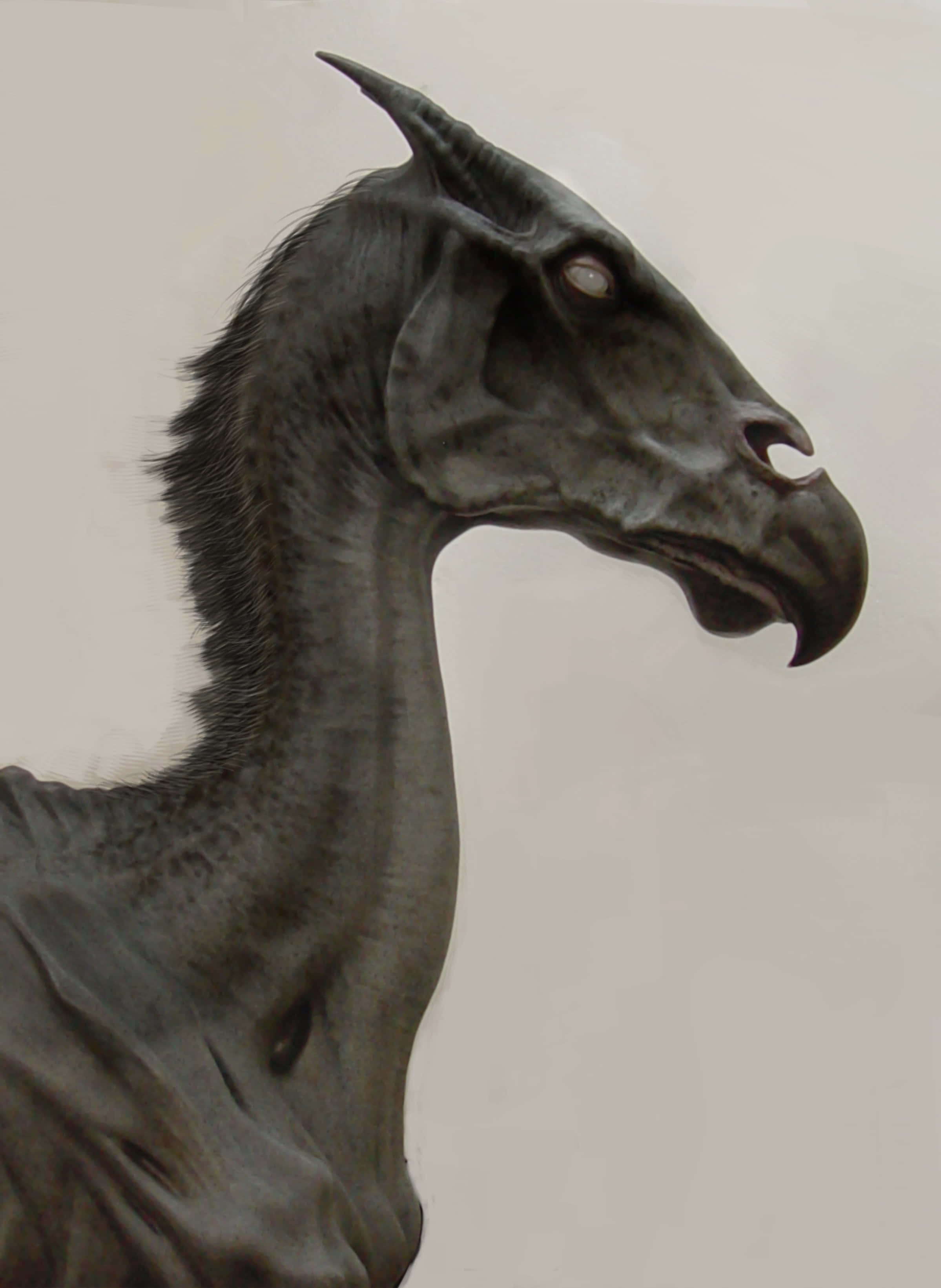 Thestral 桌布 壁紙 — 一個令人毛骨悚然的詳細數位肖像，描繪了一種深灰色的神話生物，具有馬狀的頭和鳥狀的喙，背景是純色的。