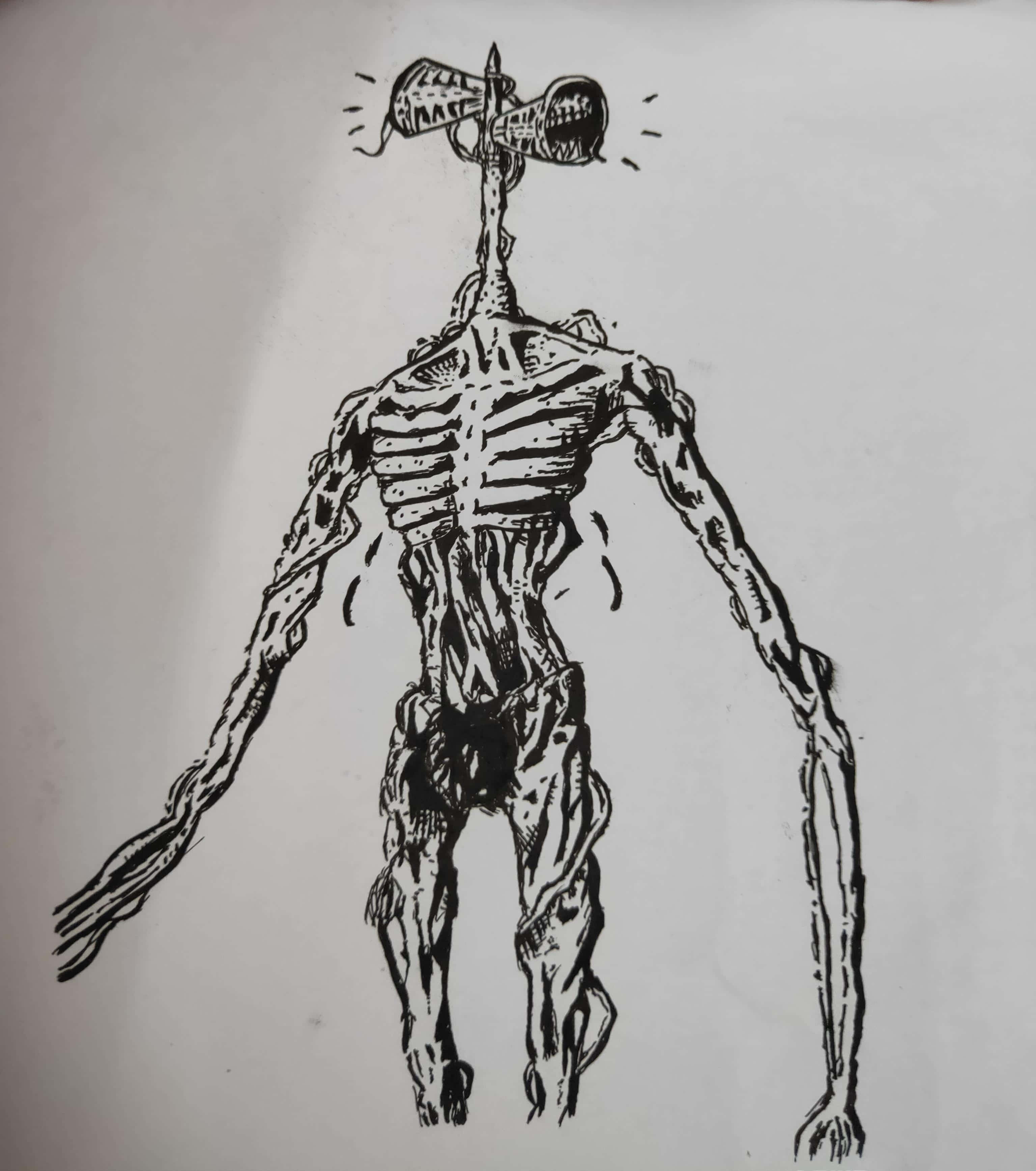 警笛頭 桌布 壁紙 — 一個令人毛骨悚然的黑白線條畫，描繪了一個骷髏般的人形生物，頭部是一個尖叫的擴音器。