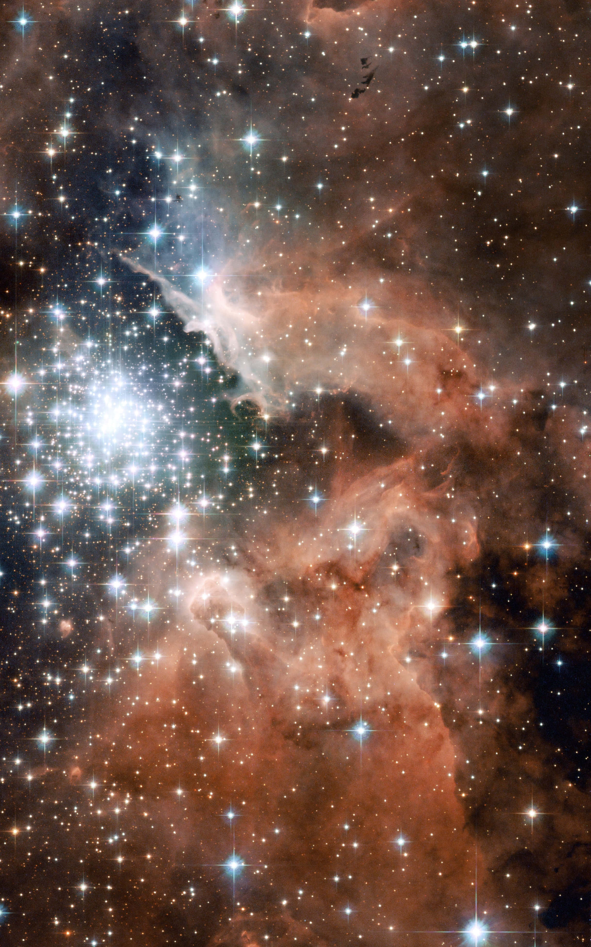 Star Cluster 桌布 壁紙 — 一個令人眼花撩亂的宇宙場景，充滿明亮的星星和發光的橙色星雲，映襯著黑暗的虛空。