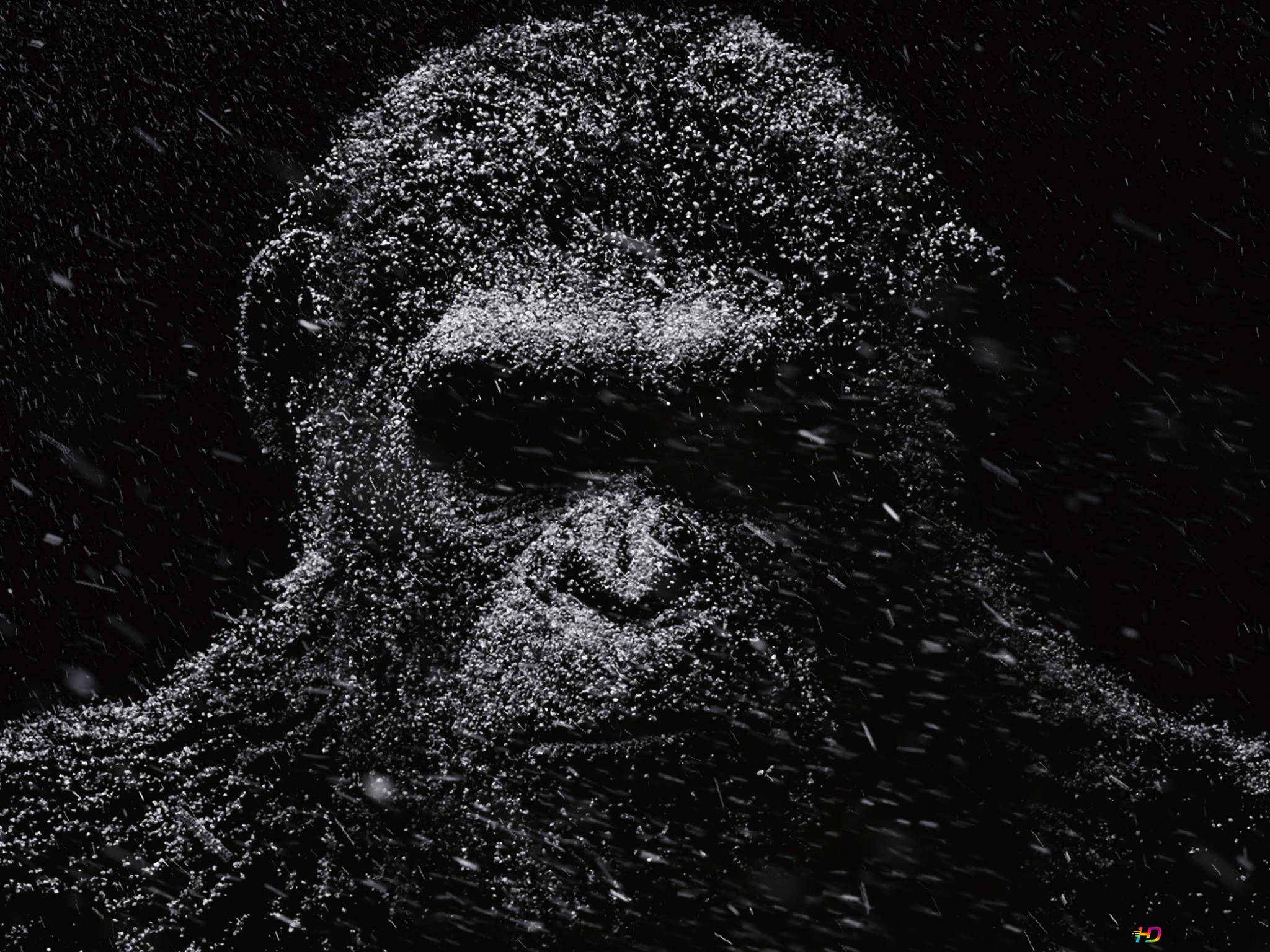 Cool Gorilla 桌布 壁紙 — 一個令人難忘的人臉肖像，由旋轉的白色粒子在黑色虛空中形成。