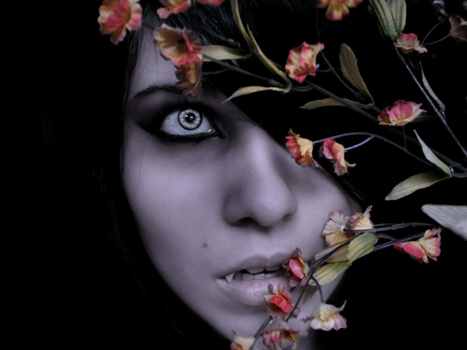 Dark Vampire 桌布 壁紙 — 一個令人難忘的女人肖像，一隻發光的眼睛被凋謝的粉紅色花朵框住，背景為黑色。