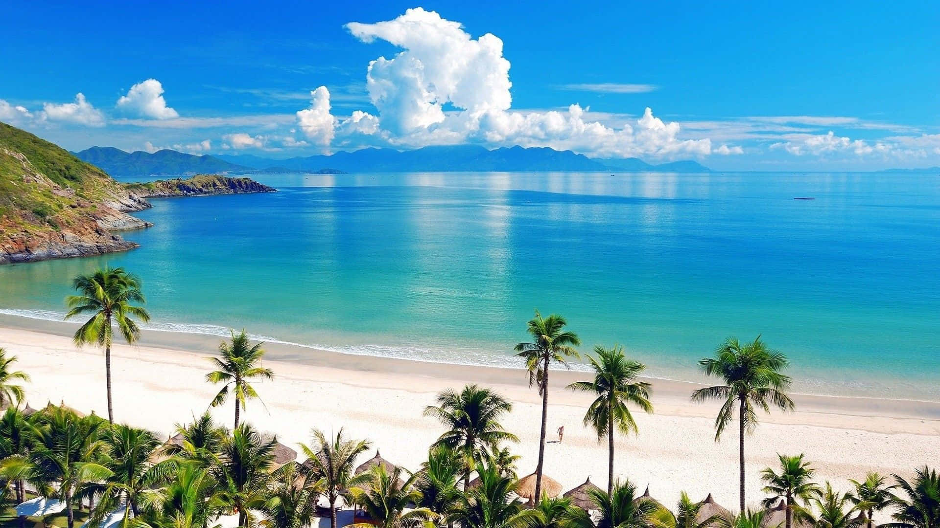 sand 桌布 壁紙 — 一個令人驚嘆的熱帶海灘，擁有碧綠的海水、白色的沙灘和棕櫚樹，在明亮的藍天和蓬鬆的白雲下。