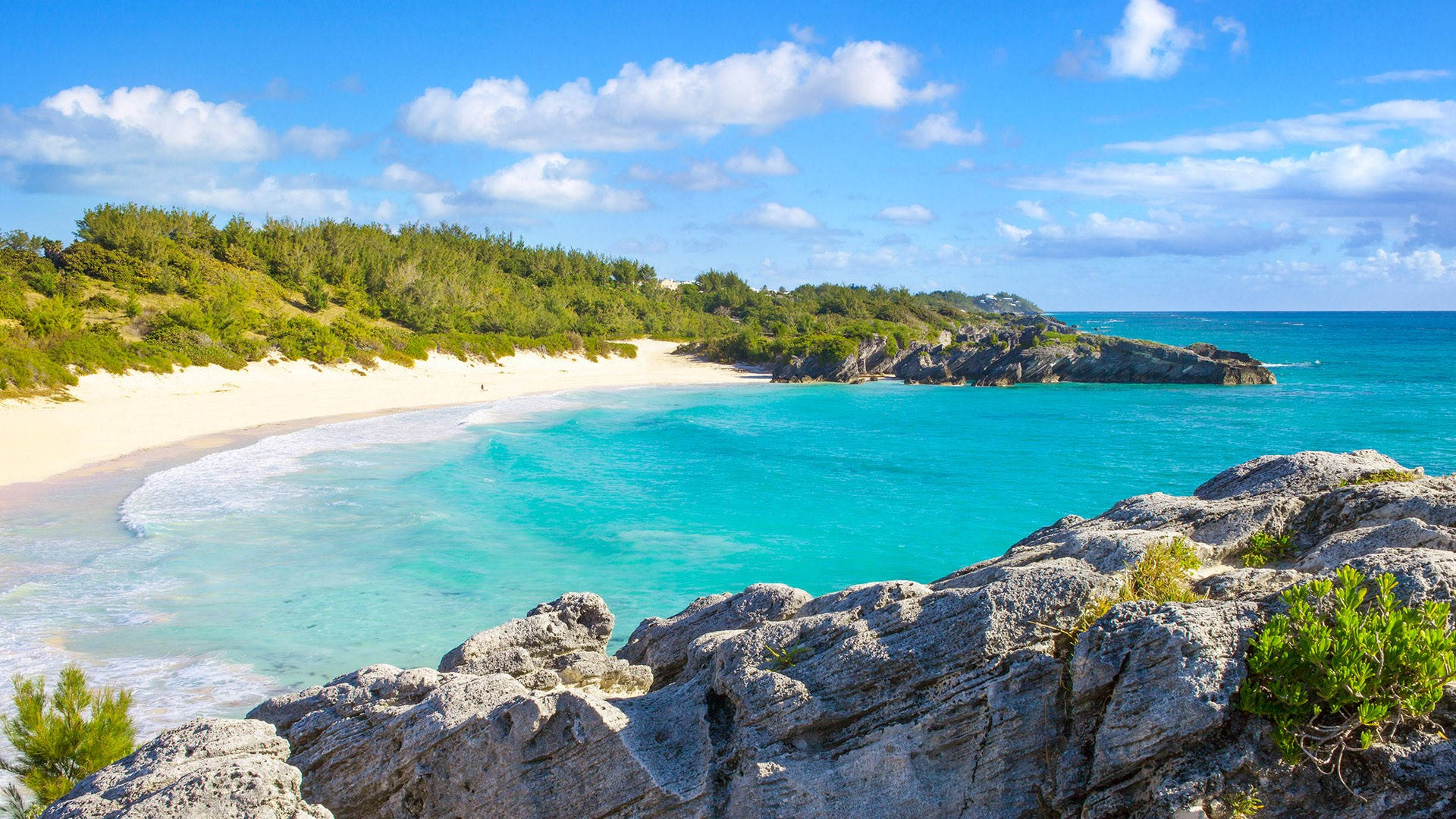 Bermuda 桌布 壁紙 — 一個令人驚嘆的熱帶海灘，擁有碧綠的海水、溫柔的海浪、白色的沙灘和茂密的綠色植物，在明亮的藍天和蓬鬆的雲朵下。