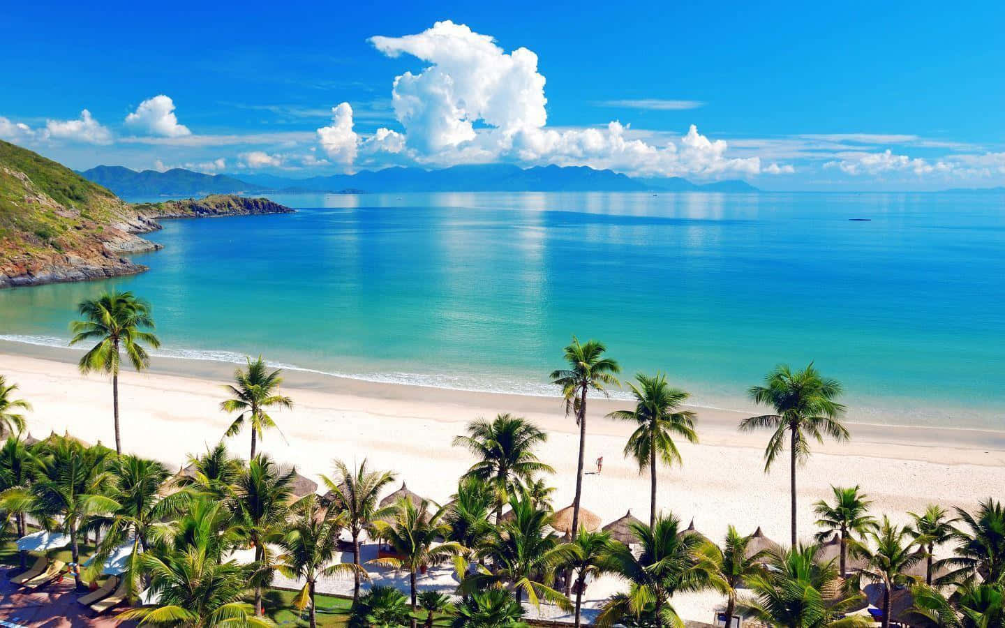 Beach Desktop 桌布 壁紙 — 一個令人驚嘆的熱帶海灘，擁有碧綠的海水、白色的沙灘和棕櫚樹，在明亮的藍天和白雲下。