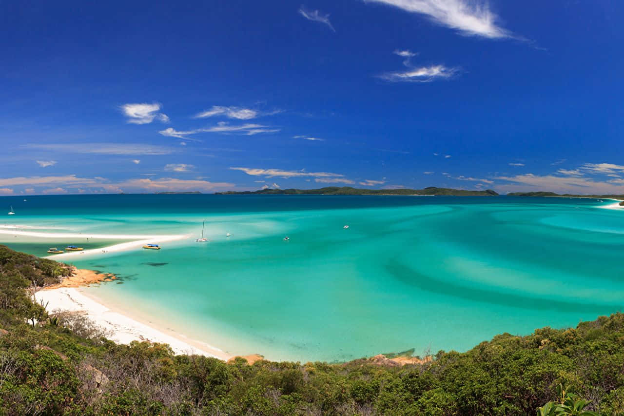 Australia Beach 桌布 壁紙 — 一個令人驚嘆的熱帶海灣，擁有碧綠的海水、白色沙灘和茂密的綠色植物，在明亮的藍天下。