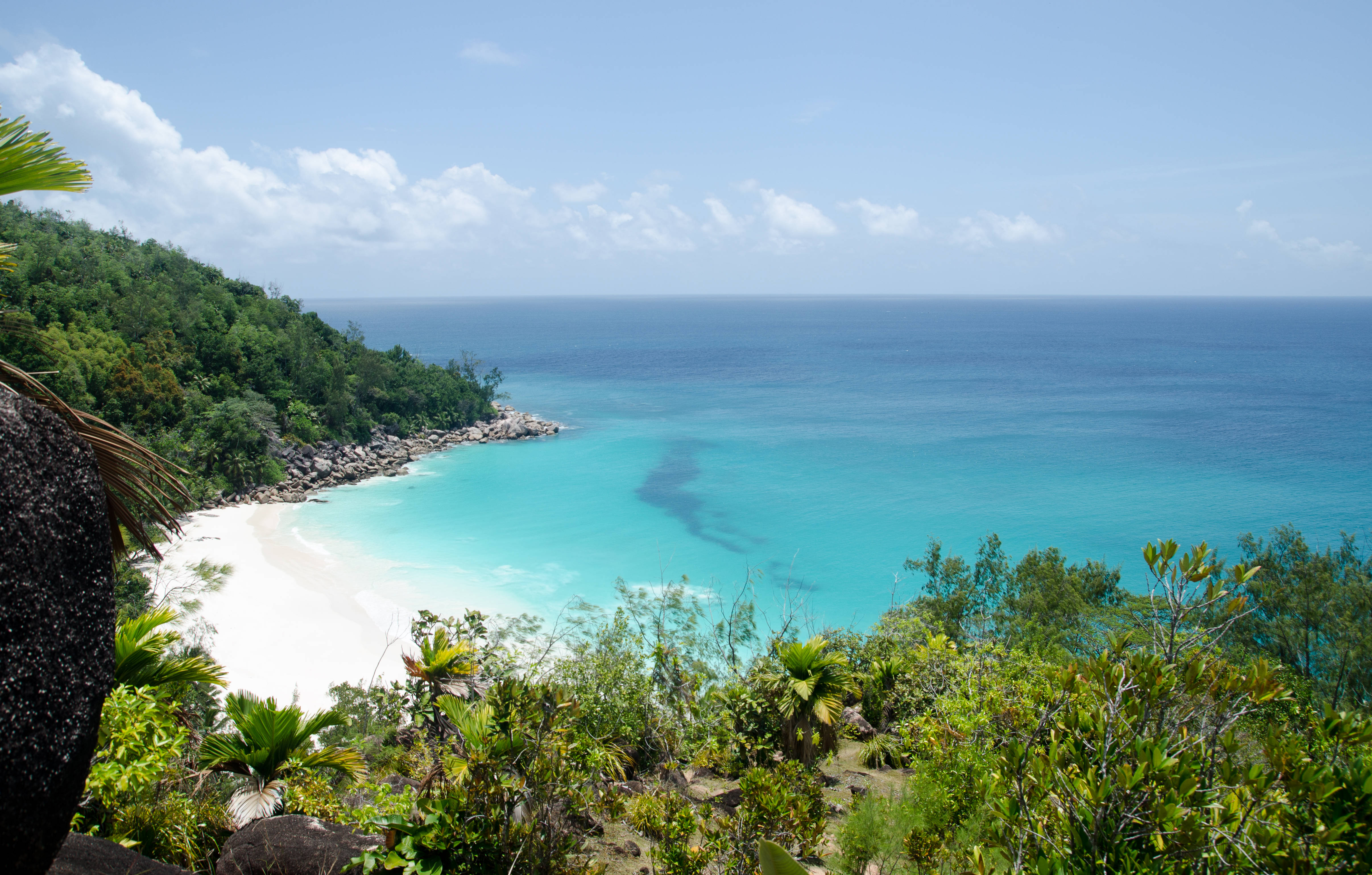 Seychelles 桌布 壁紙 — 一個令人驚嘆的熱帶海灣，碧綠的海水環繞著白色沙灘，四周是茂密的綠色山丘和散落的棕櫚樹，在明亮的藍天下。