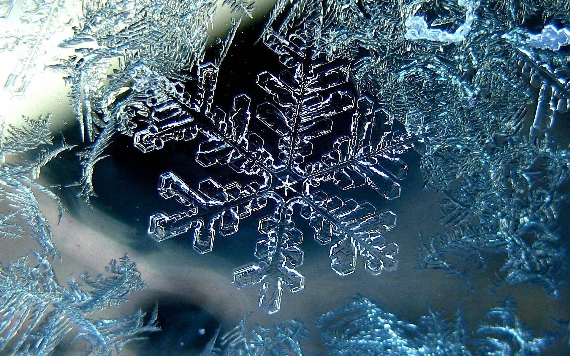 雪花 桌布 壁紙 — 一個令人驚嘆的特寫，完美形成的冰晶雪花，帶有複雜的枝條，背景為深色。