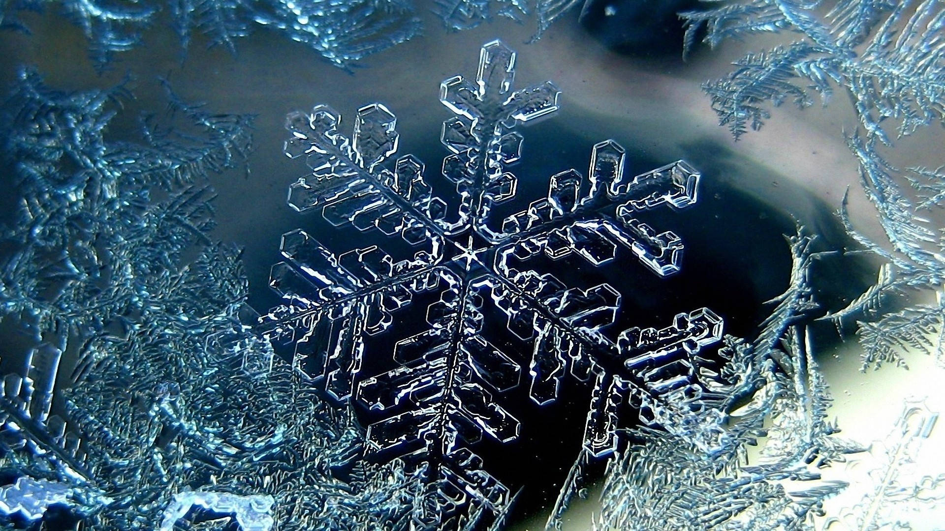  壁紙 — 一個令人驚嘆的特寫鏡頭，完美形成的冰晶雪花，帶有複雜的枝條，在黑暗的背景下發光。