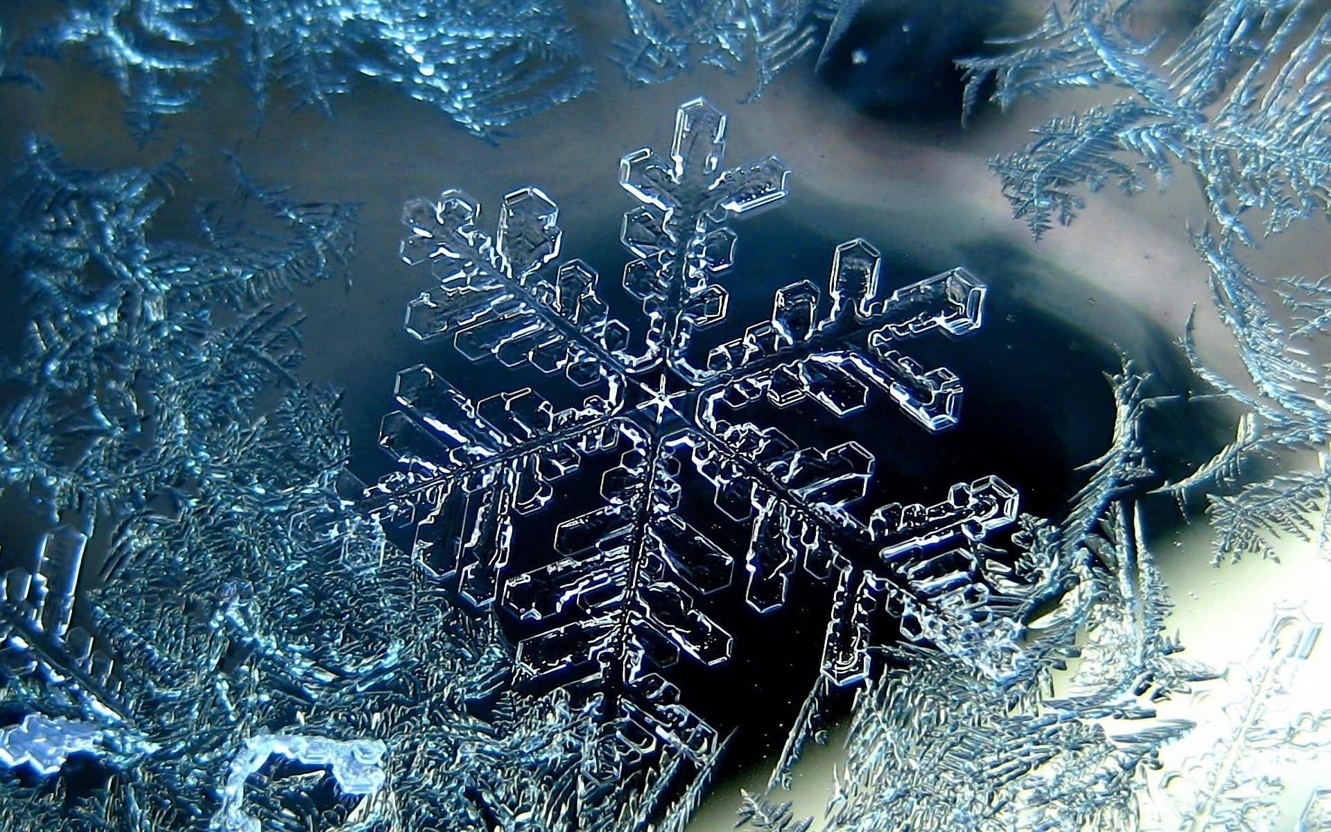 冬季窗戶上詳細的冰晶圖案 — 雪花 GIF 壁紙