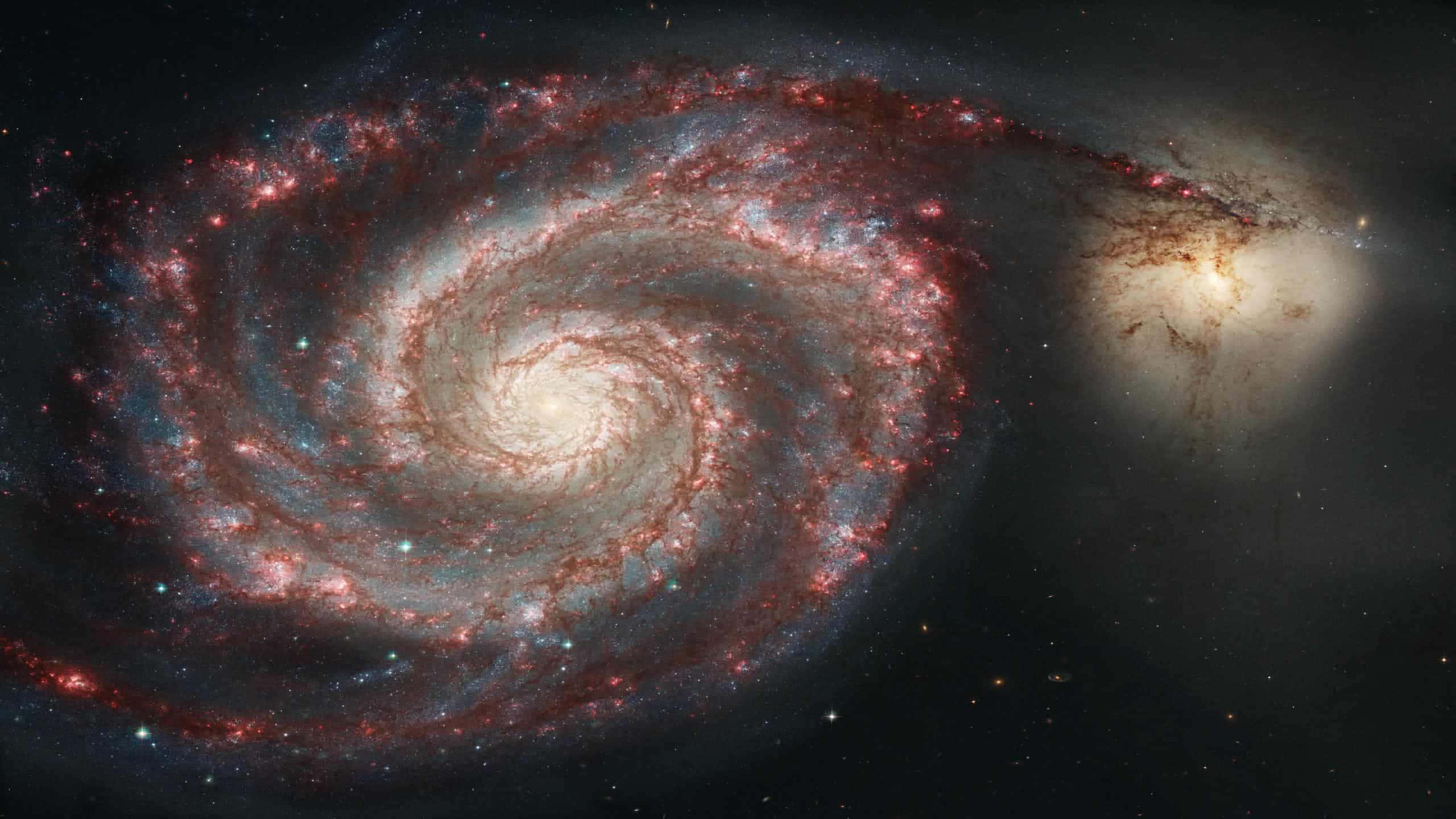 Whirlpool Galaxy 桌布 壁紙 — 一個令人驚嘆的螺旋星系，帶有發光的紅色和藍色旋臂，在繁星點點的宇宙背景下旋轉。