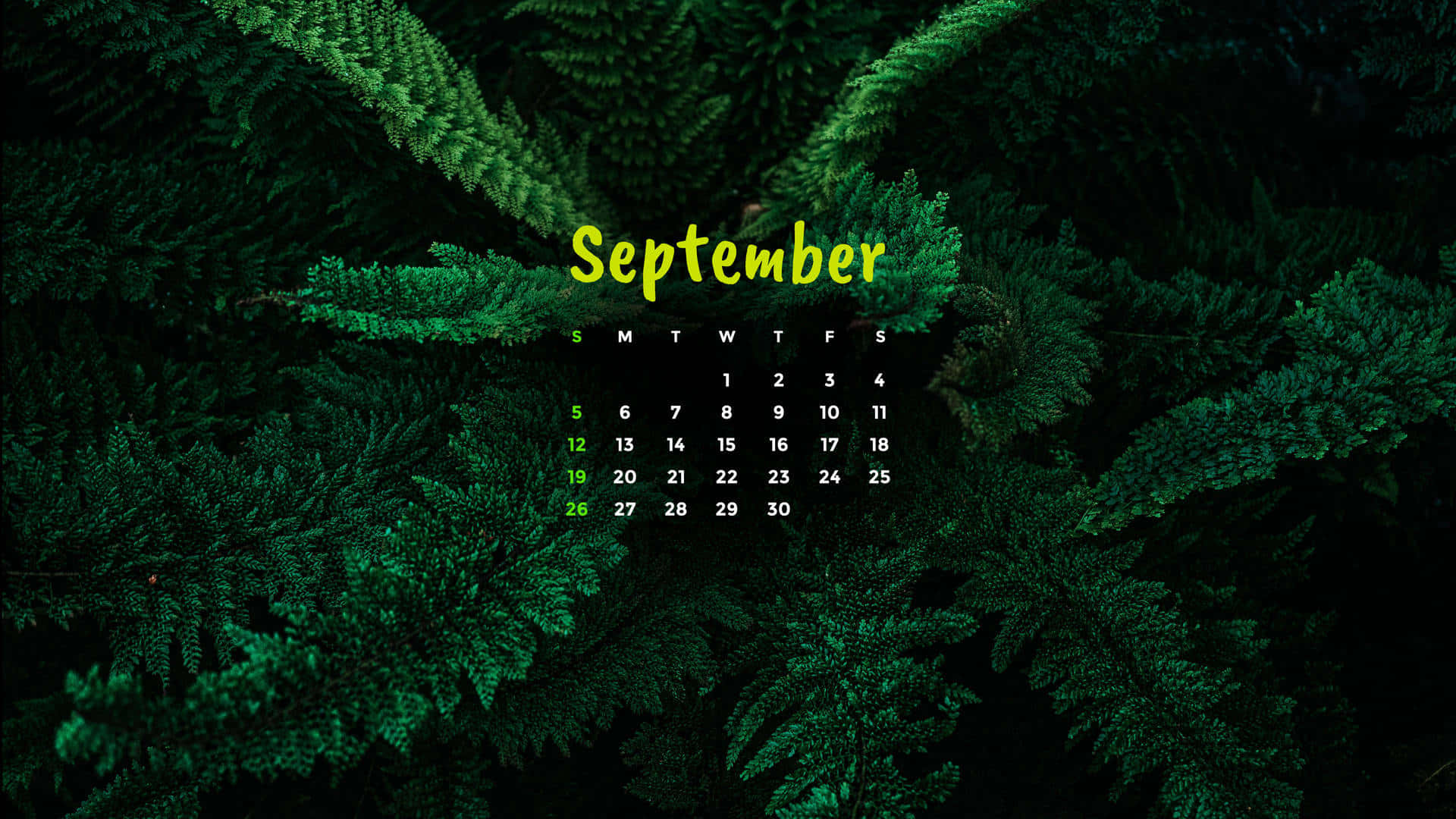 September 桌布 壁紙 — 一個以亮黃色文字顯示的九月日曆，漂浮在濃密的深綠色松針背景上。