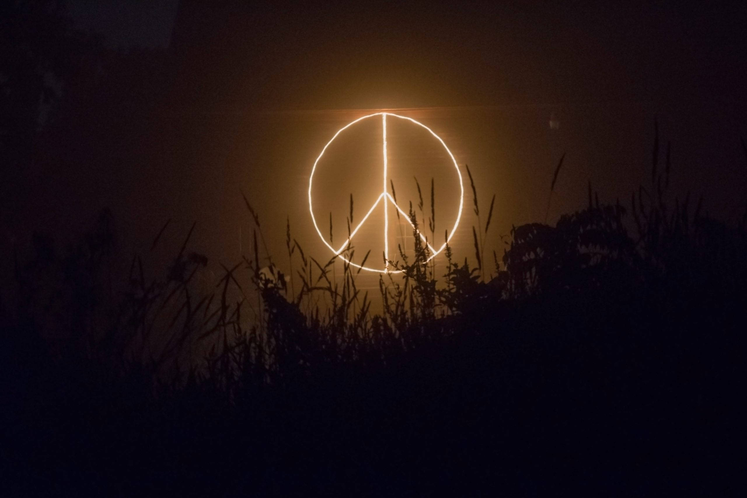 Peace Symbol 桌布 壁紙 — 一個以光繪製的發光和平標誌，在夜間穿過黑暗的草地閃耀，在黑色的天空中投射出溫暖的金色光芒。