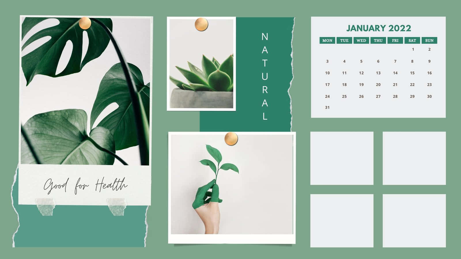 January 2022 Calendar 桌布 壁紙 — 一個以綠色為主題的極簡主義計劃本拼貼，包含龜背竹葉、多肉植物、一隻手握著嫩芽以及2022年1月的日曆。