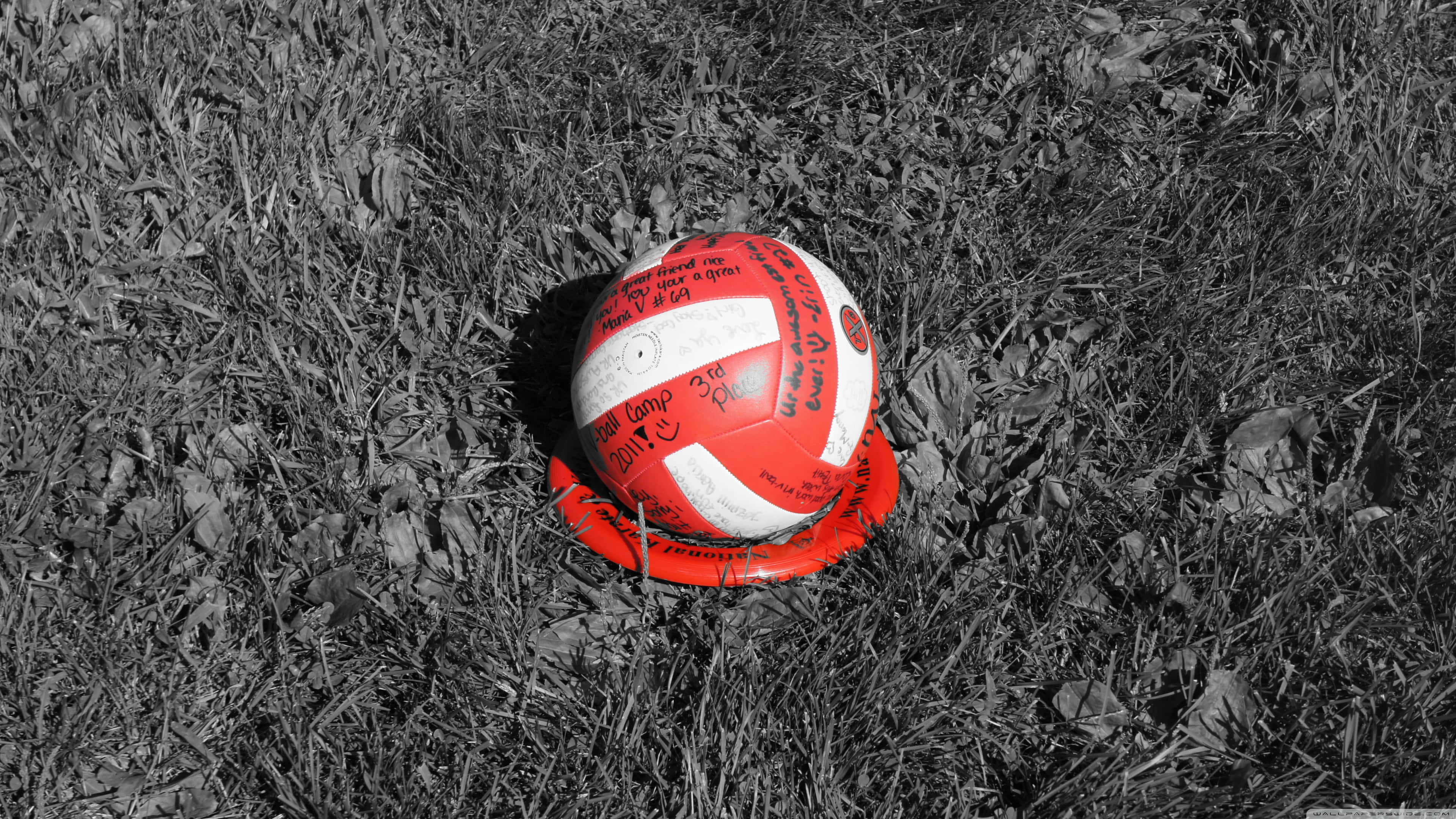 ball 桌布 壁紙 — 一個佈滿簽名的紅白排球放在黑白草地上的亮橙色盤子上。