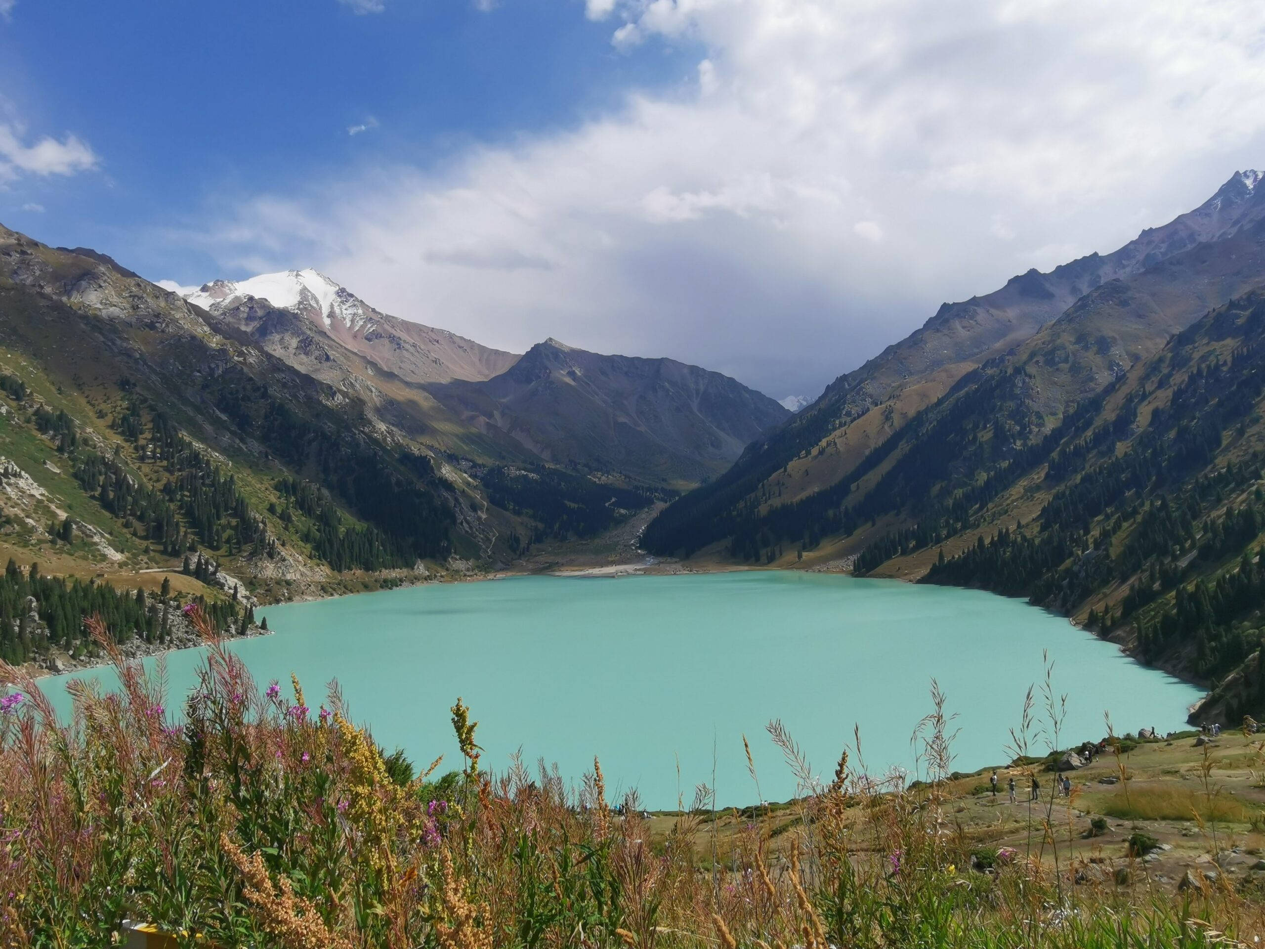 Lake 桌布 壁紙 — 一個位於山谷中的綠松石色山湖，前景有雪峰和野花。