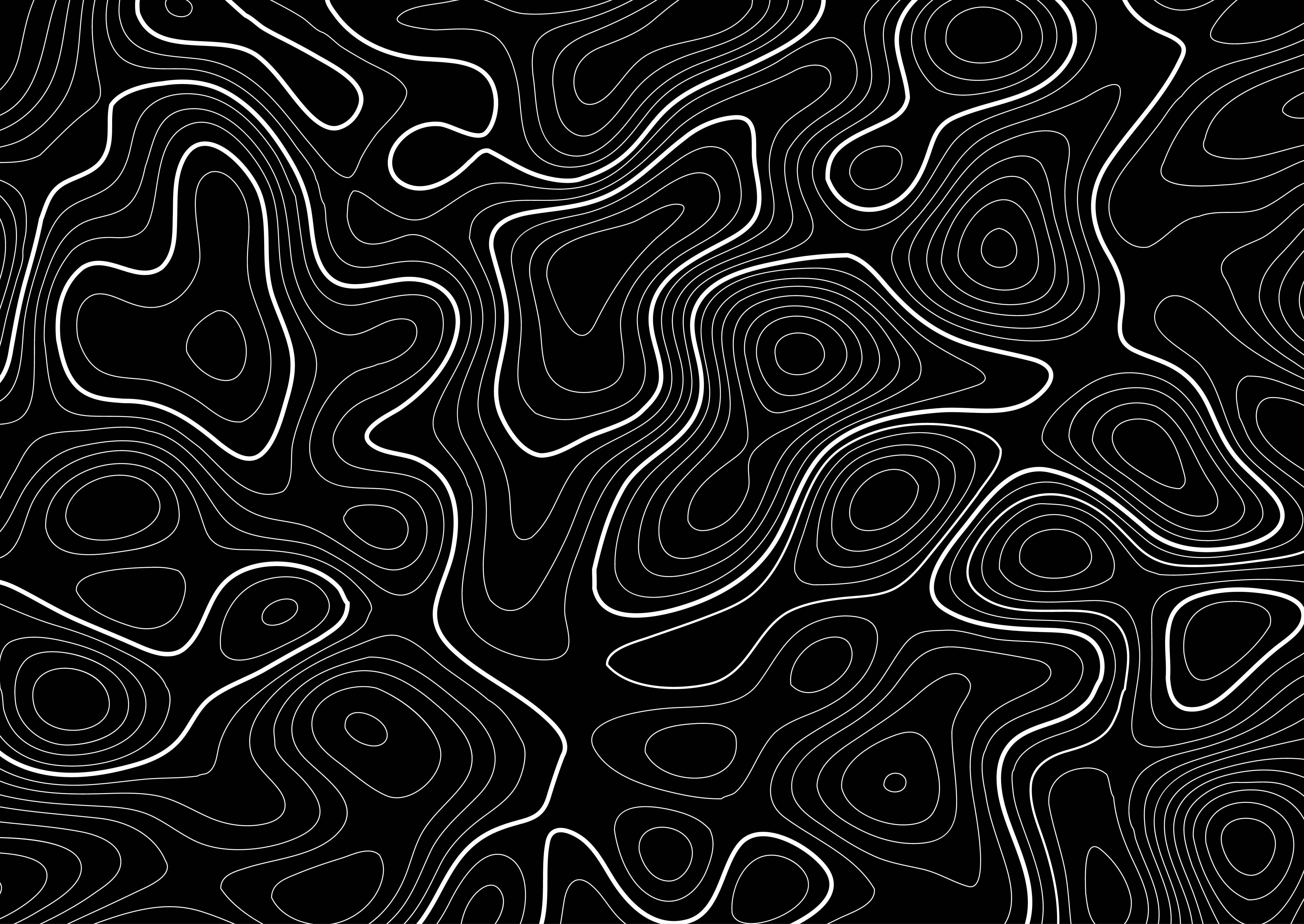 Topographic 桌布 壁紙 — 一個催眠的黑白抽象圖案，由流動的輪廓線條構成，營造出動態的地形錯覺。