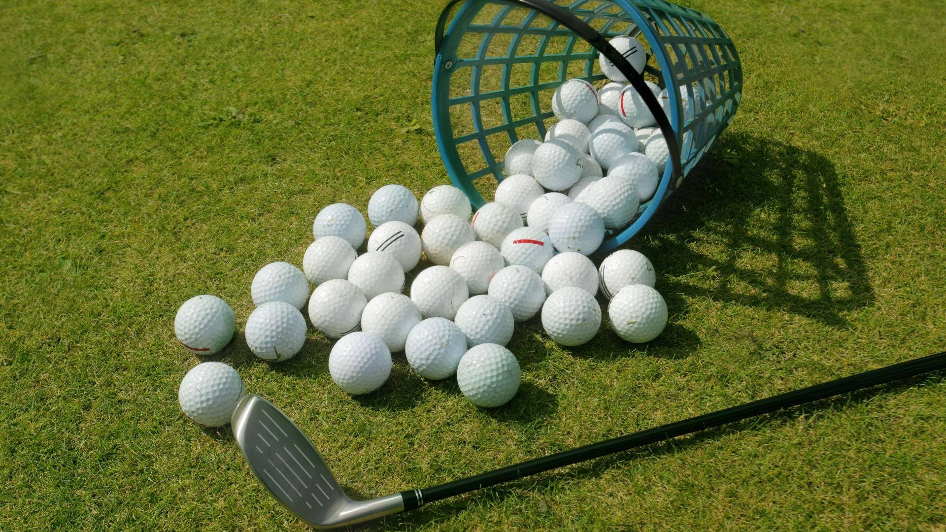 Golfing 桌布 壁紙 — 一個傾斜的藍色高爾夫球籃將大量白色高爾夫球灑在鮮綠色草地上，旁邊有一支高爾夫球桿。