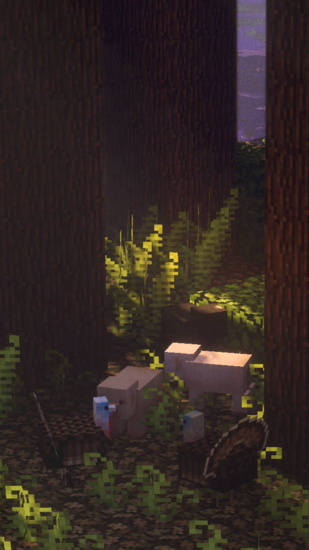 在黑暗森林中與發光蕨類植物一起的Minecraft豬和玩家。 — 黑暗森林 壁紙