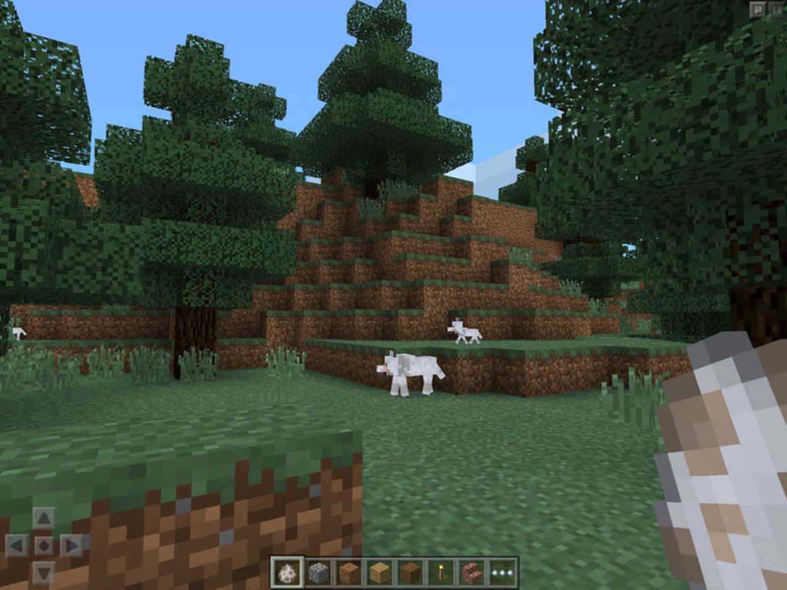 Minecraft Pocket Edition 桌布 壁紙 — 一個像素化的Minecraft景觀，有綠樹、棕色山丘和白色乳牛，在清澈的藍天下。