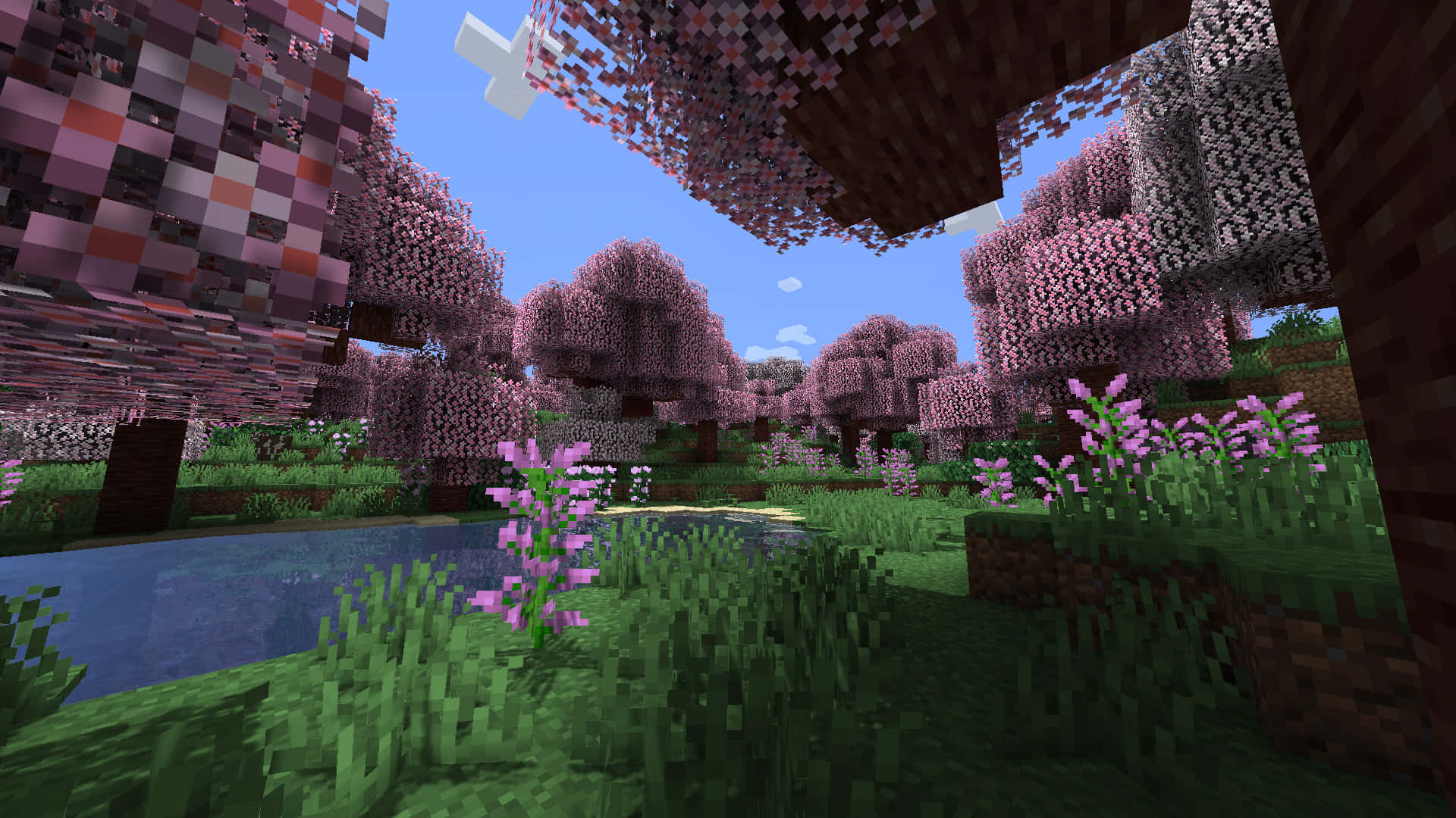 Minecraft Mods 桌布 壁紙 — 一個像素化的Minecraft森林，有粉紅色的櫻花樹和一個在清澈藍天下寧靜的池塘。