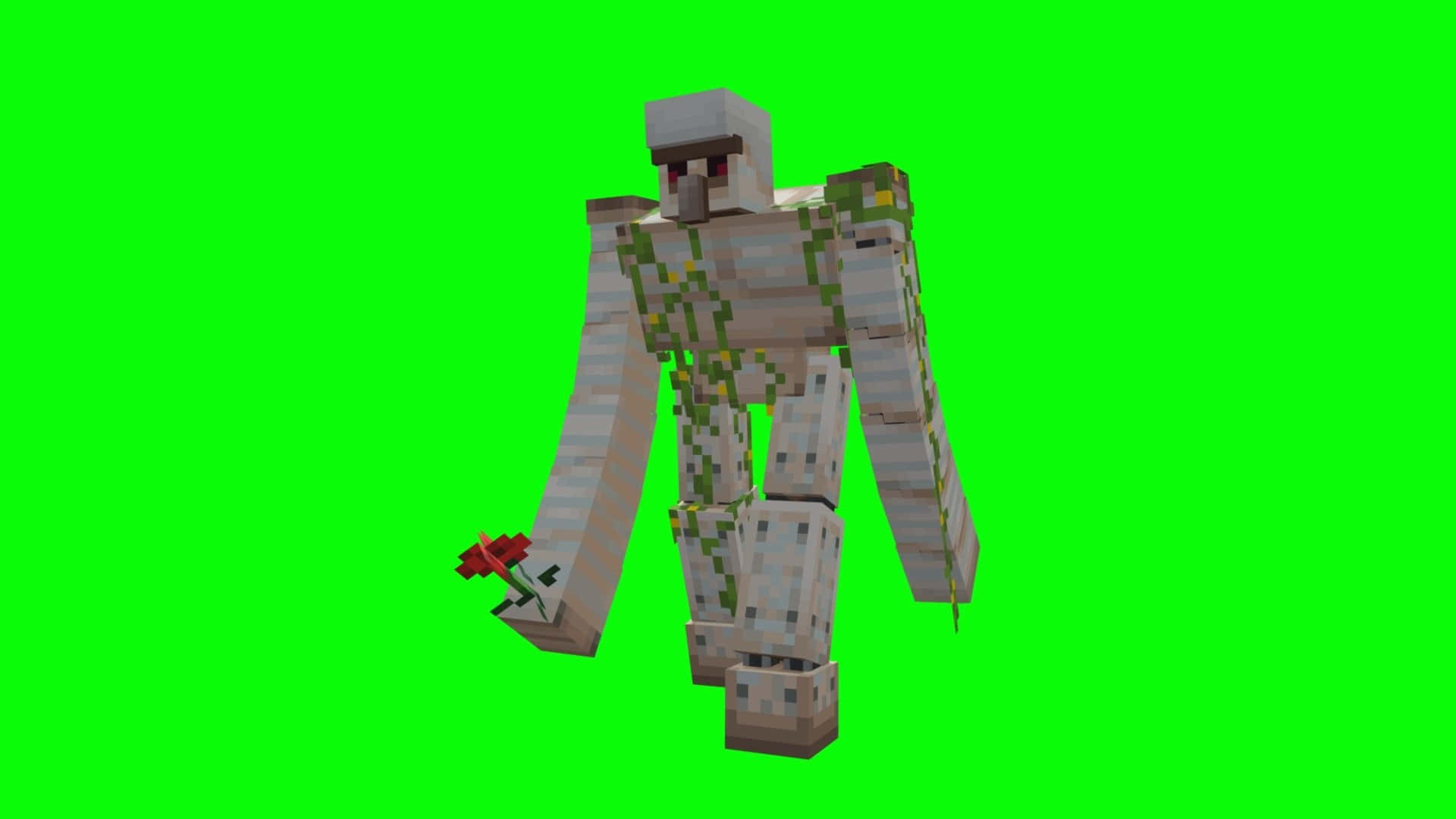 Minecraft Iron Golem 桌布 壁紙 — 一個像素化的Minecraft殭屍在純綠色螢幕背景前手持一朵紅花。