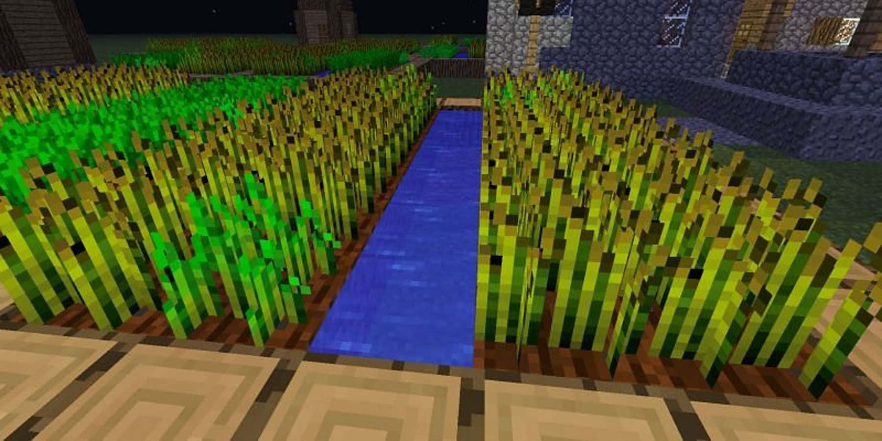 Minecraft Farming 桌布 壁紙 — 一個像素化的Minecraft田地，有發光的綠色作物，旁邊是藍色水道，在星空下。