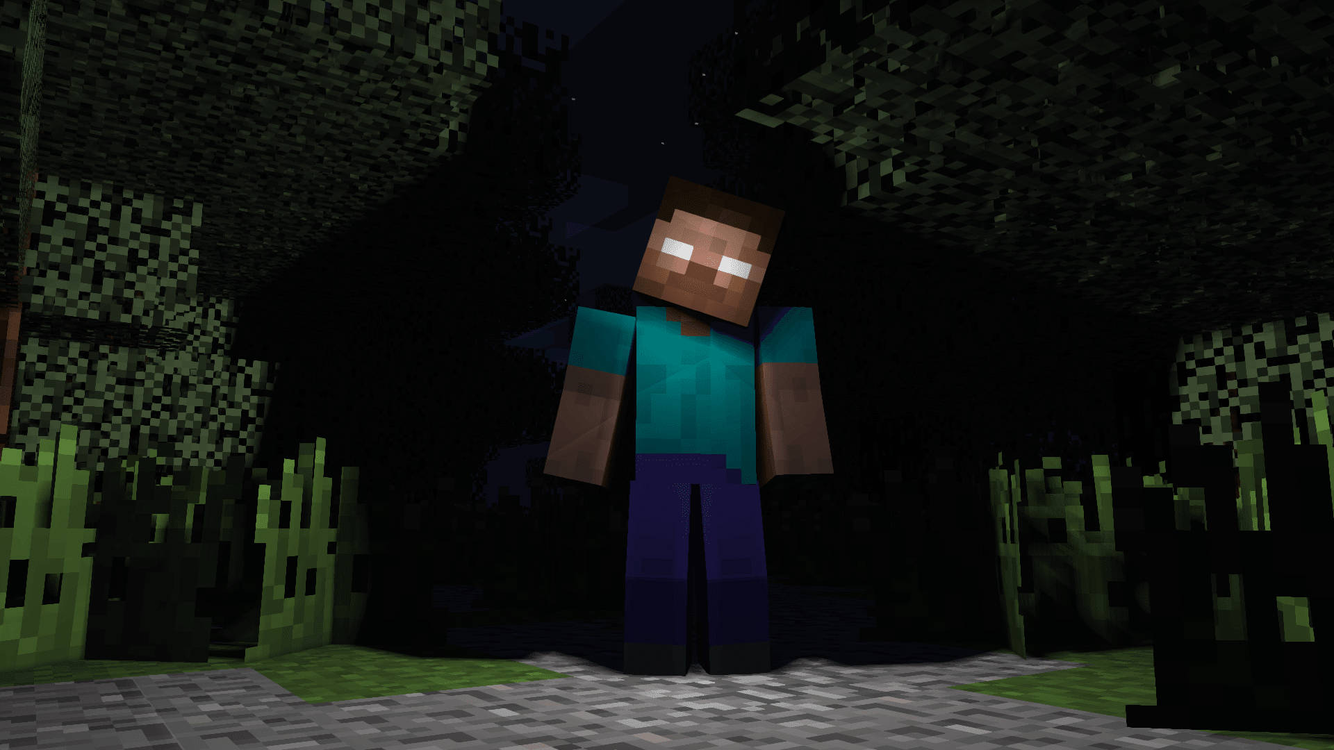 Herobrine 桌布 壁紙 — 一個像素化的Minecraft角色站在星空下，周圍是方塊狀的樹木和草地。