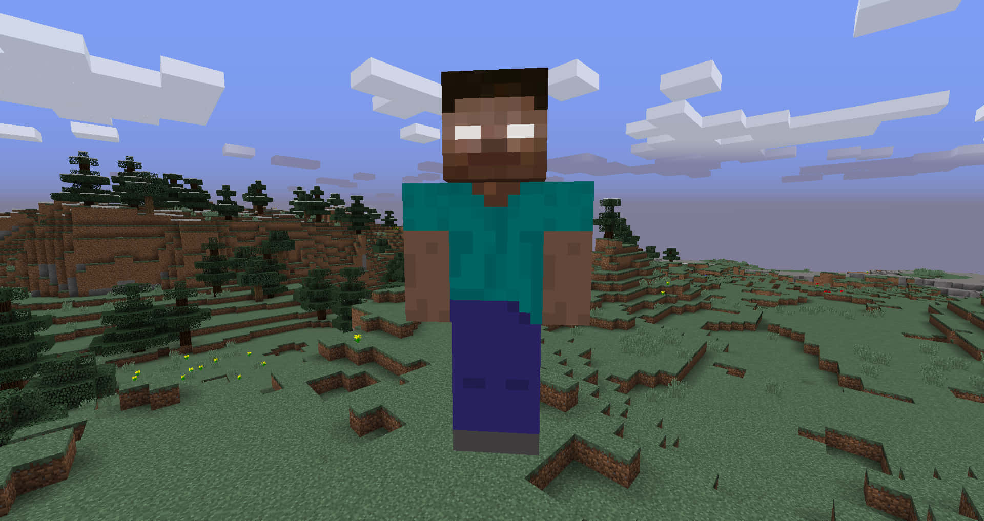 Herobrine 桌布 壁紙 — 一個像素化的Minecraft角色站在一個方塊狀的草地景觀中，背景是藍天白雲。