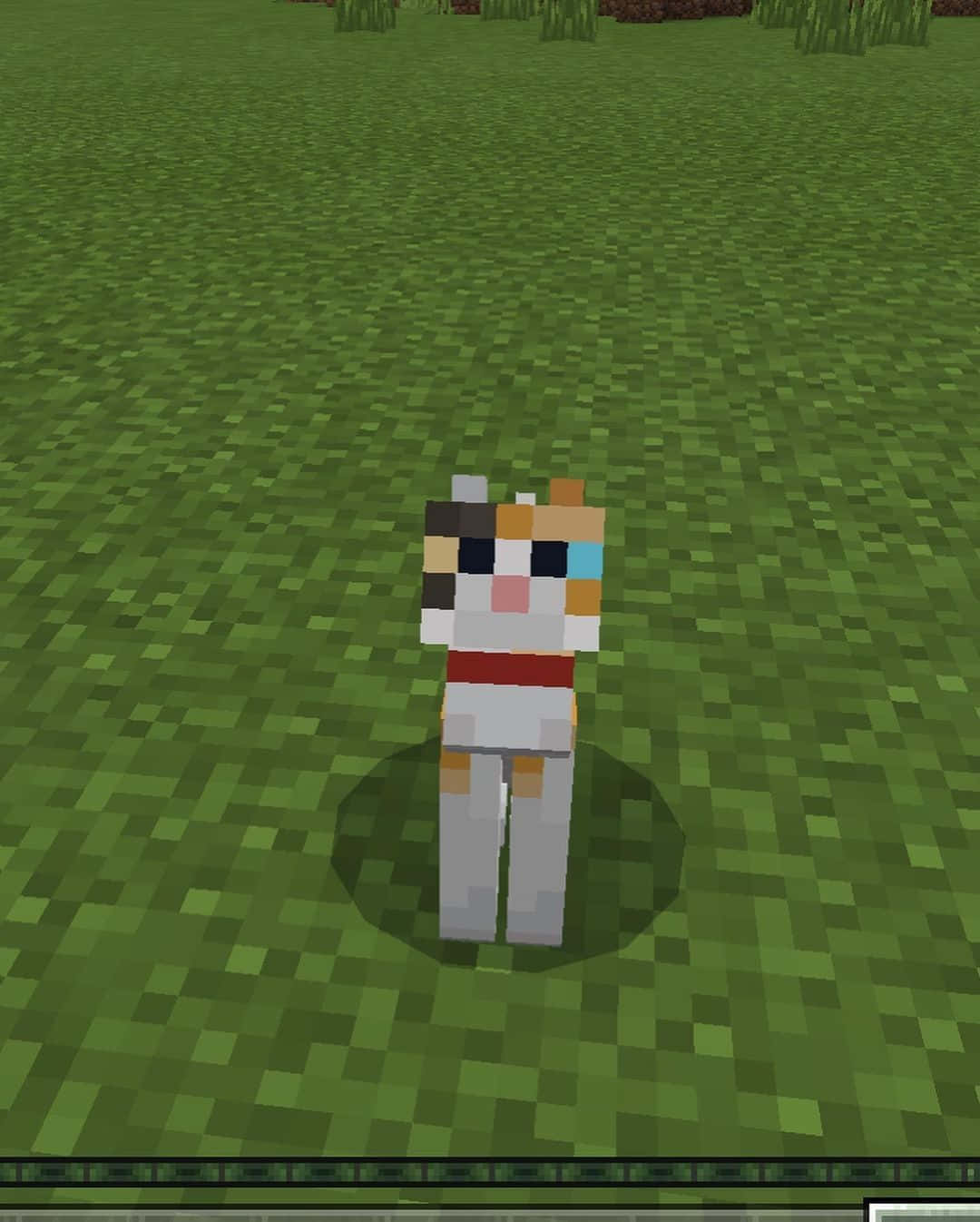 Minecraft Profile 桌布 壁紙 — 一個像素化的Minecraft角色，擁有色彩繽紛的臉孔和紅色腰帶，站在廣闊的綠色草地上。