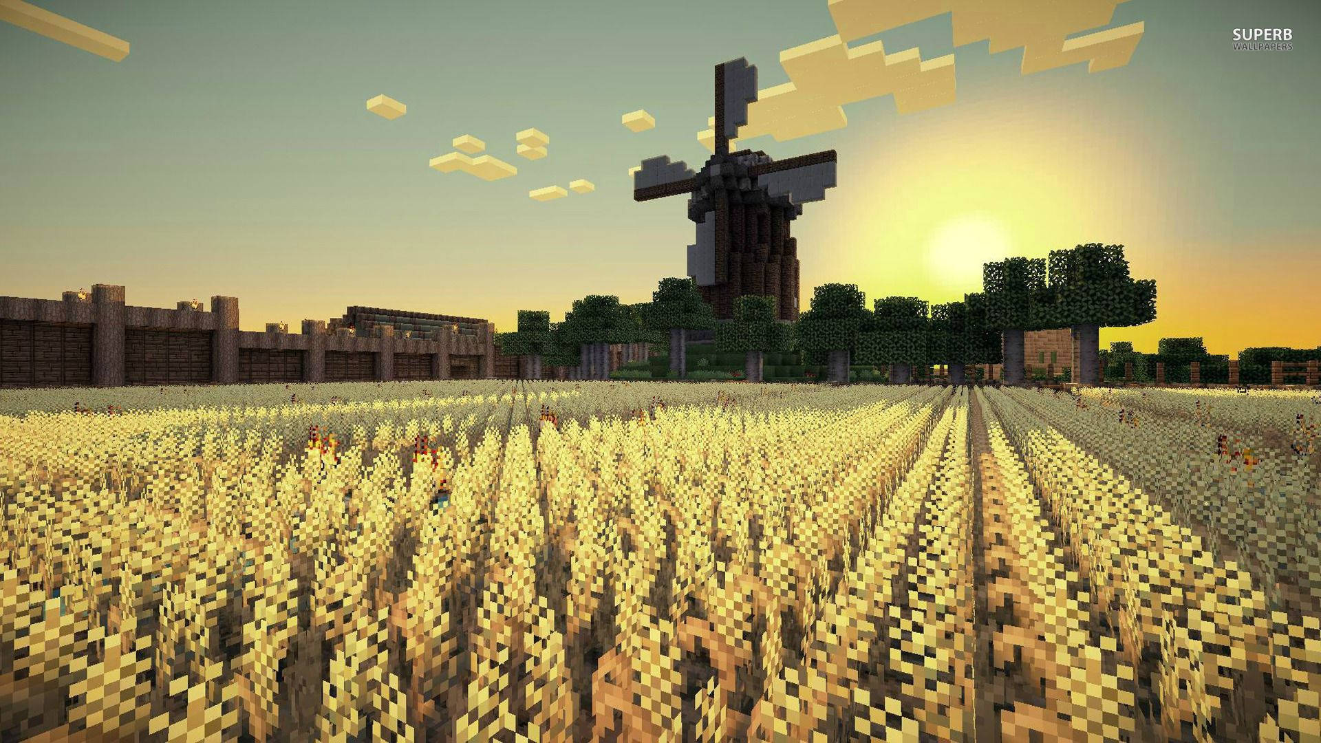 4K Minecraft 壁紙 桌布 壁紙 — 一個像素化的Minecraft金色麥田，在夕陽下延伸至一座風車，伴隨著方塊狀的樹木和天空。