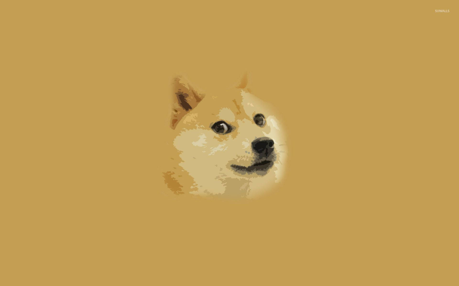 Doge 桌布 壁紙 — 一個像素化的柴犬狗臉，居中在純芥末黃色背景上，帶有柔和光線。