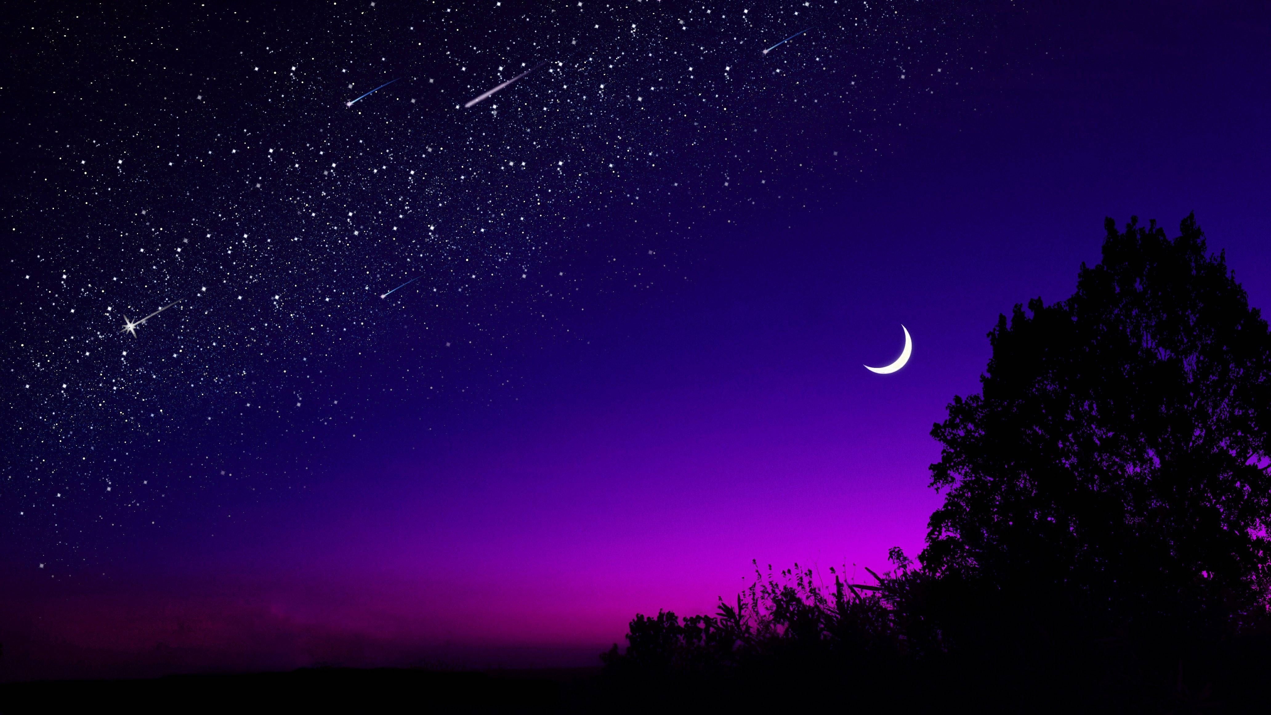 暗紫色美學 桌布 壁紙 — 一個充滿星星和流星的充滿活力的紫色夜空，上方有一棵帶有新月輪廓的樹。