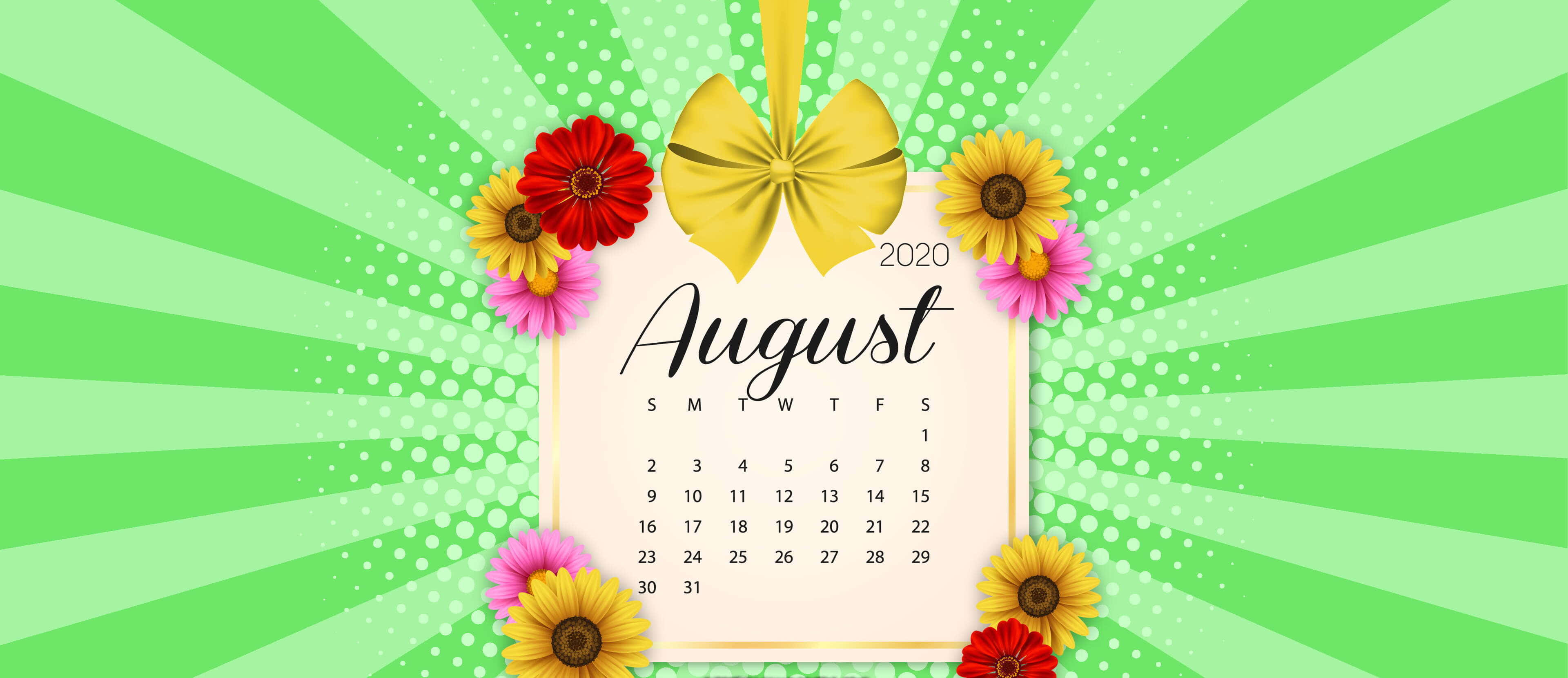 八月 桌布 壁紙 — 一個充滿活力的2020年8月月曆，以色彩繽紛的非洲菊雛菊和金色蝴蝶結框住，背景為綠色放射狀爆發。