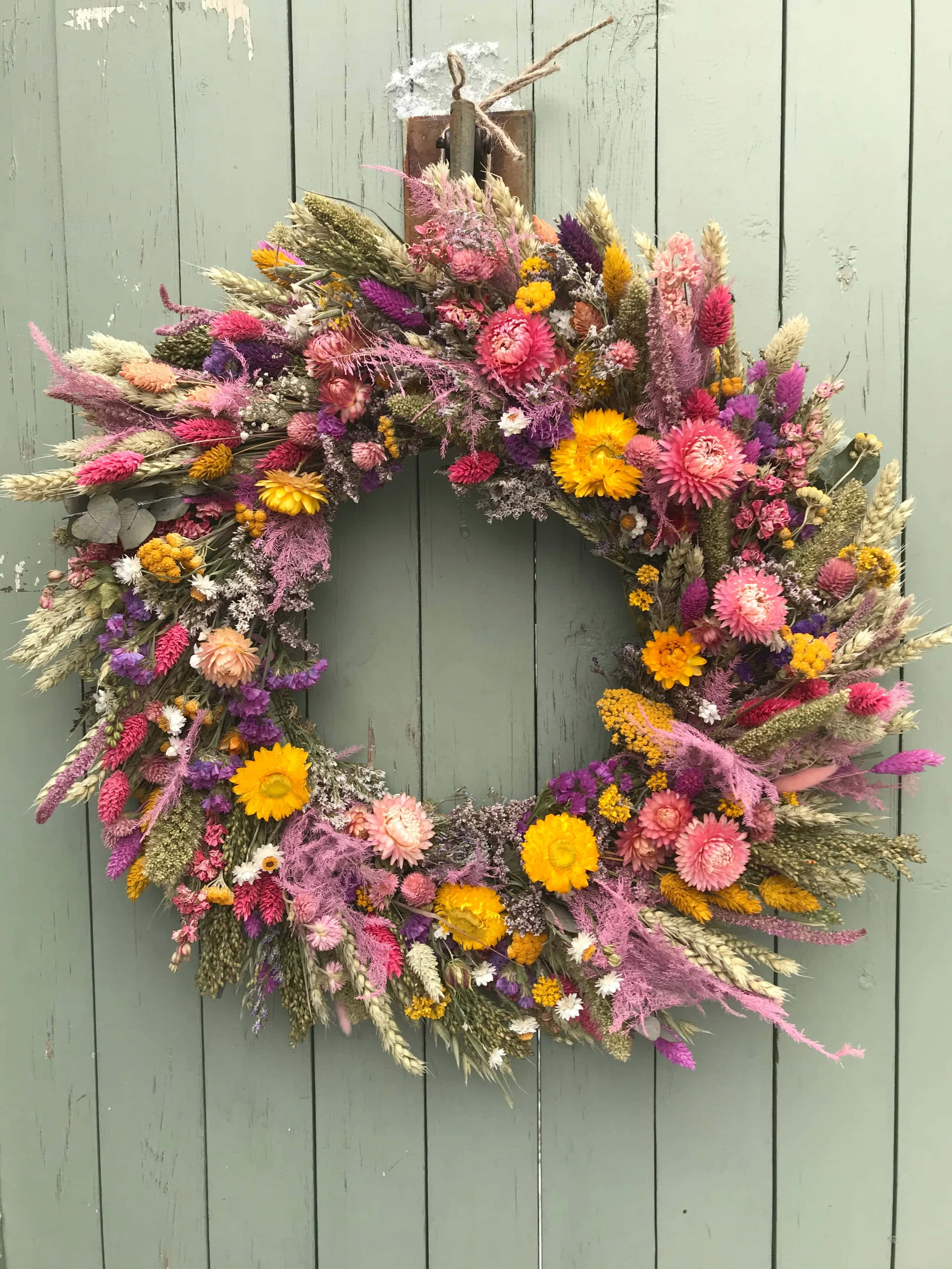 Spring Wreaths 桌布 壁紙 — 一個充滿活力的乾燥花環，帶有粉紅色、黃色和紫色的花朵，掛在風化的鼠尾草綠色木門上。