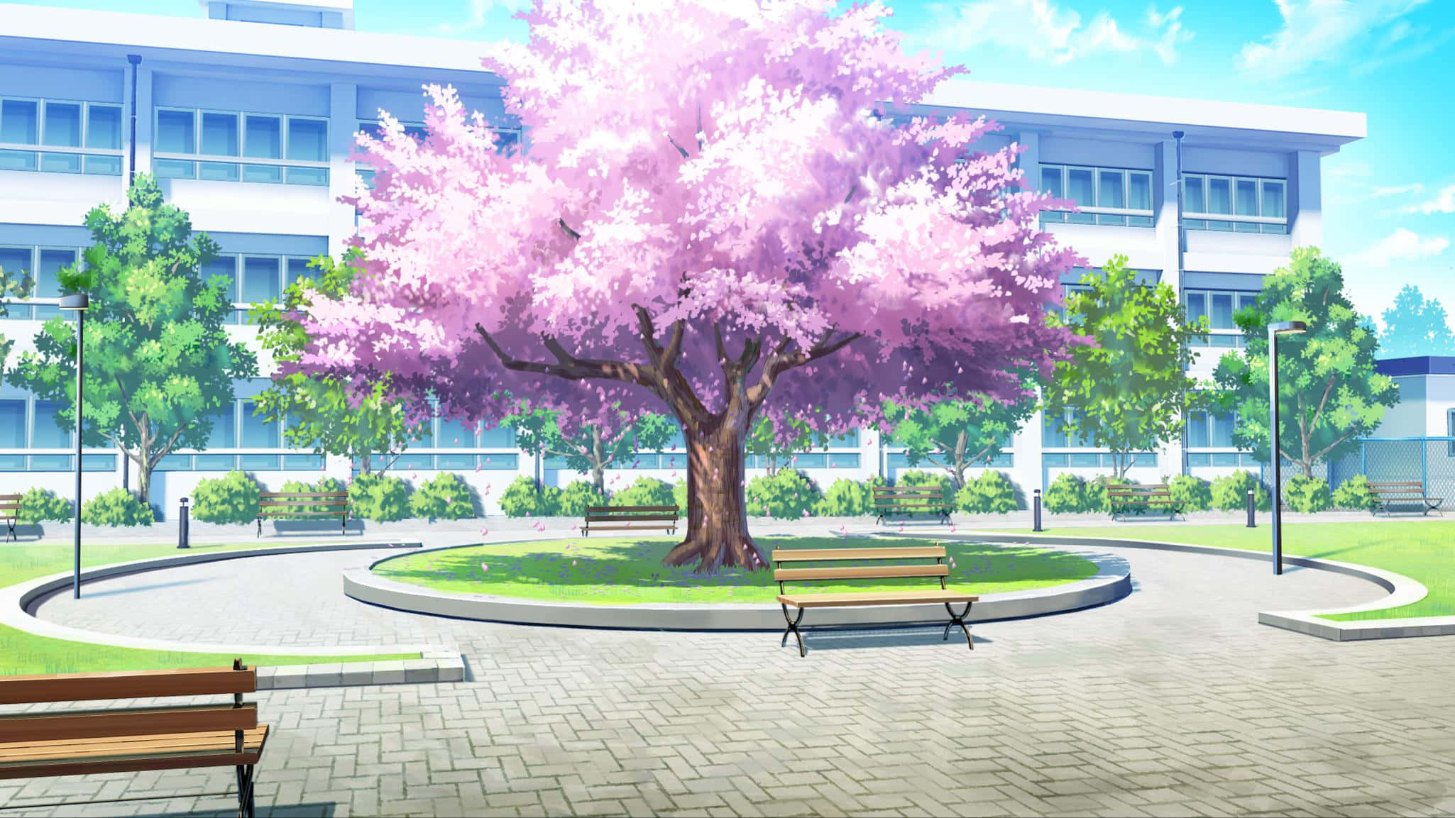 Anime Cherry Blossom 桌布 壁紙 — 一個充滿活力的動漫風格庭院，在晴朗的藍天下，一棵盛開的粉紅色櫻花樹被木製長椅和現代建築環繞。