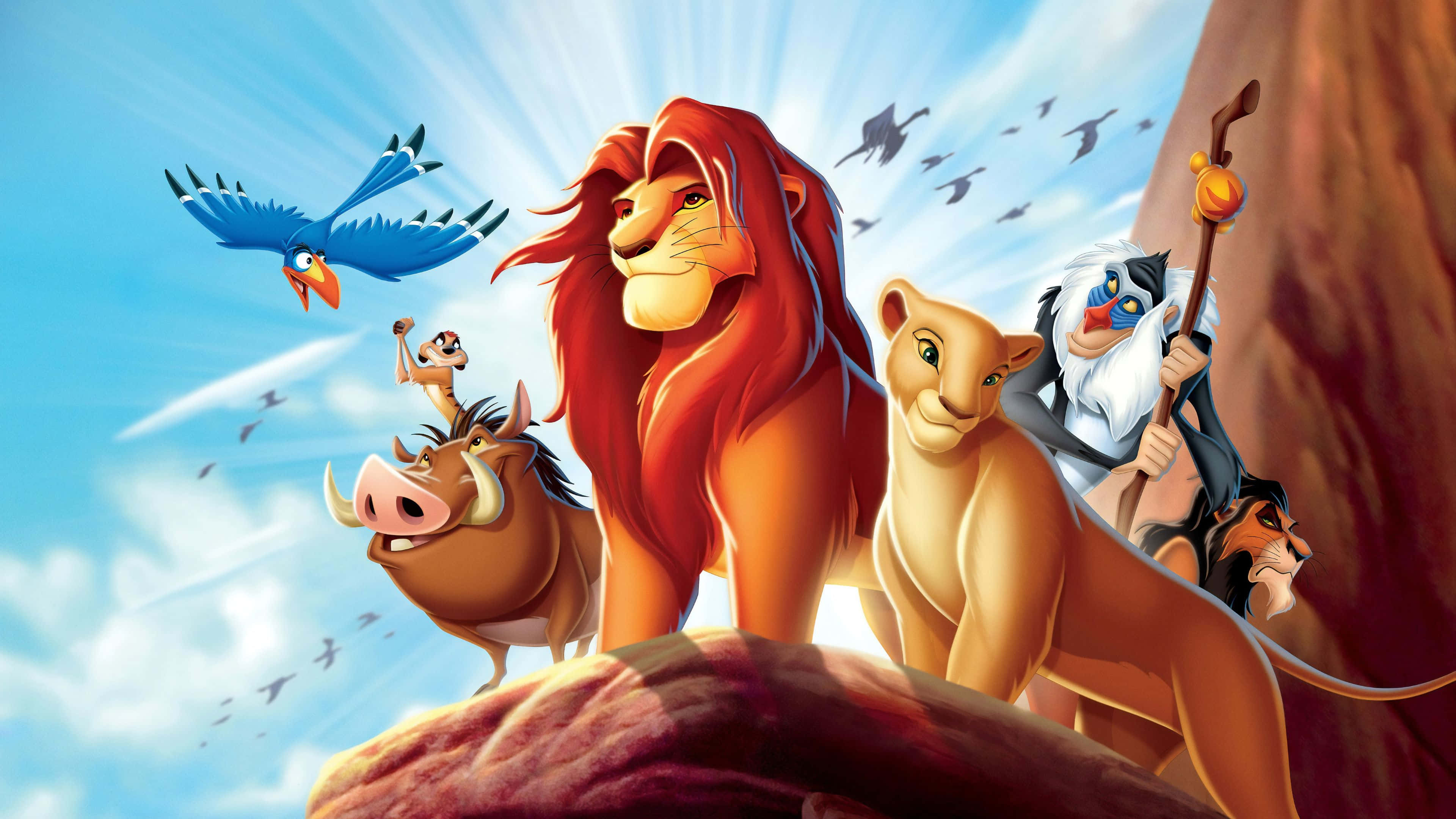 Disney 4K 桌布 壁紙 — 一個充滿活力的動畫場景，辛巴、娜娜、丁滿、彭彭、沙祖和拉飛奇站在岩石懸崖上，明亮的藍天下有鳥兒飛翔。
